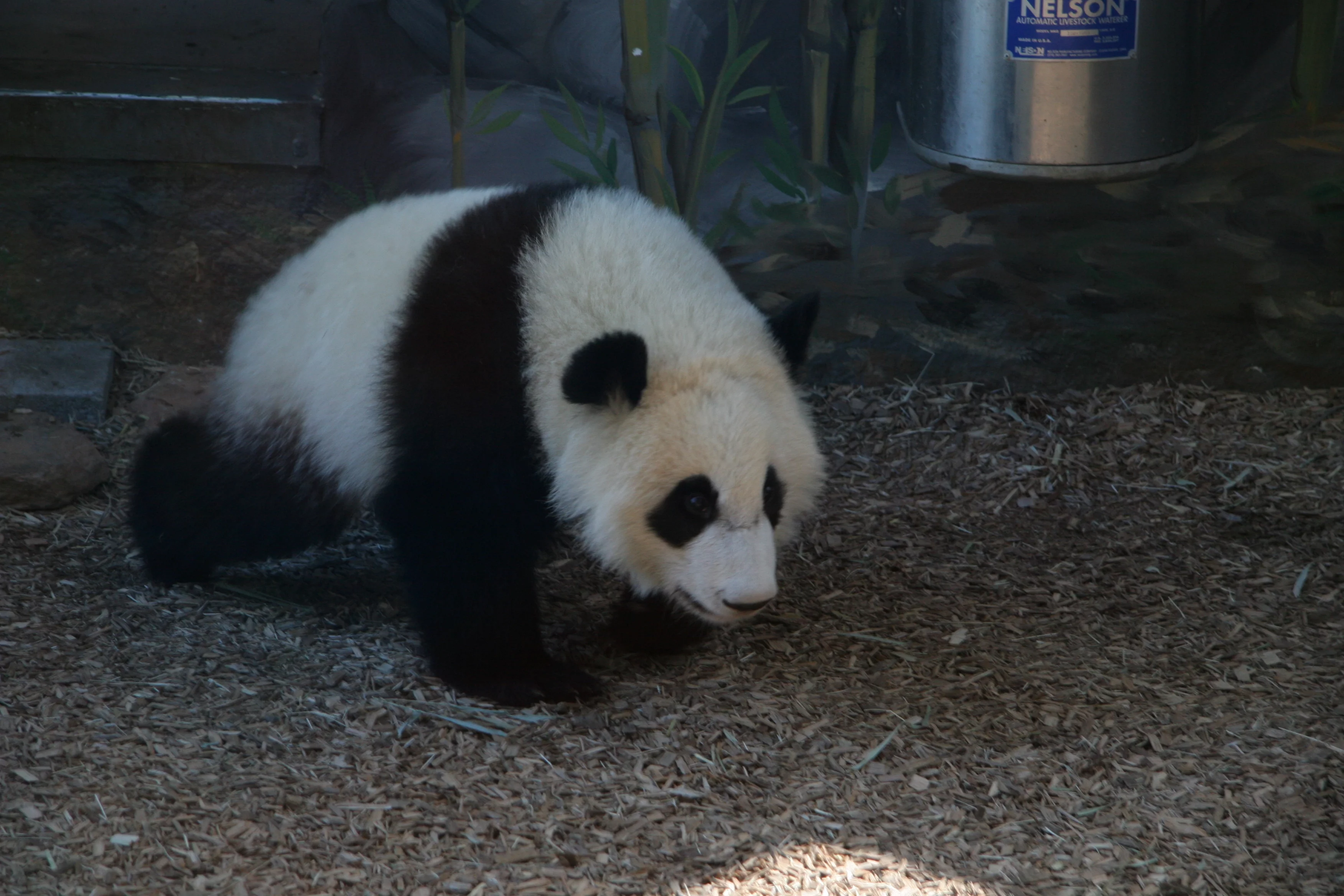 Zoo Atlanta