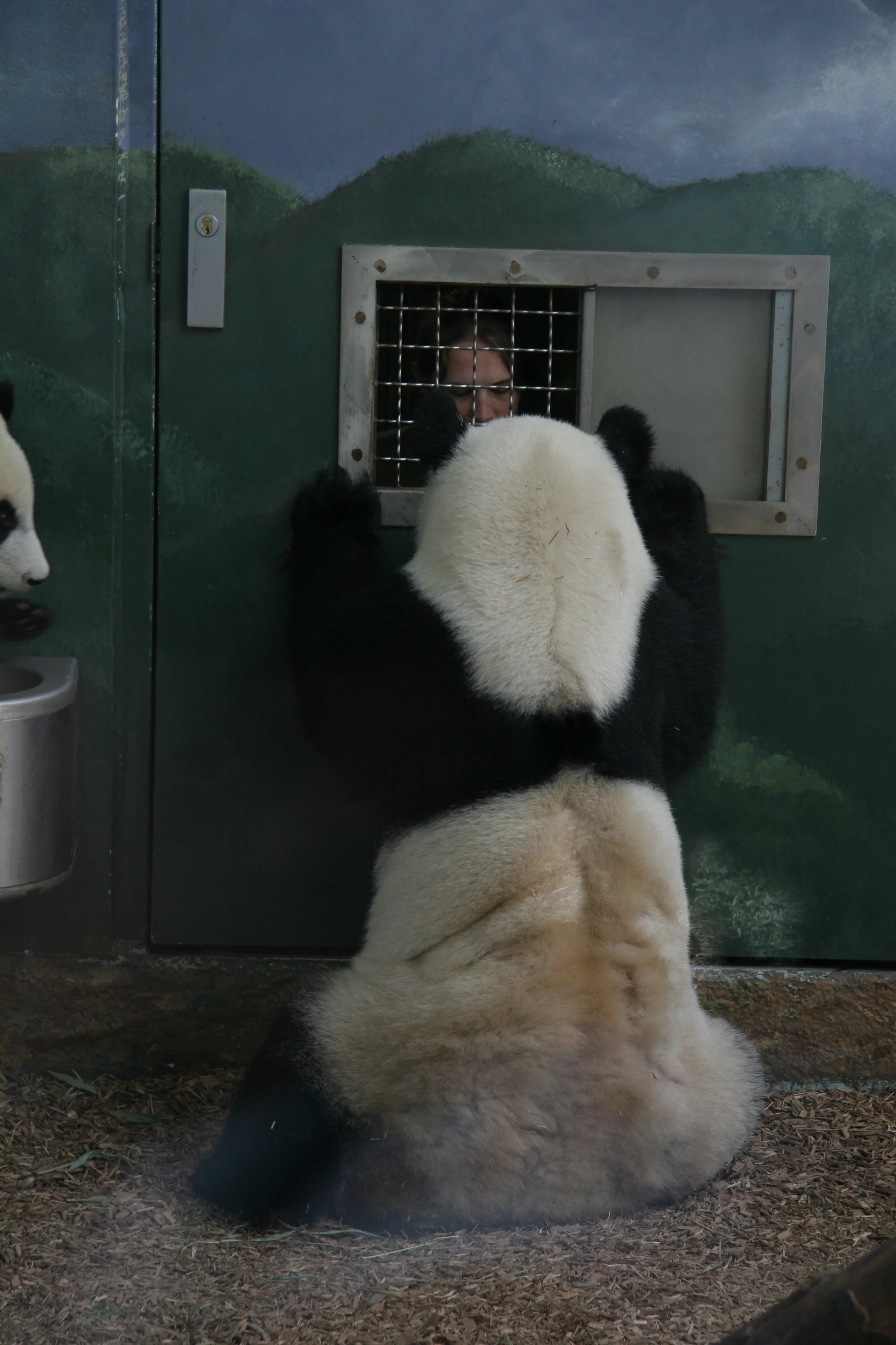 Zoo Atlanta