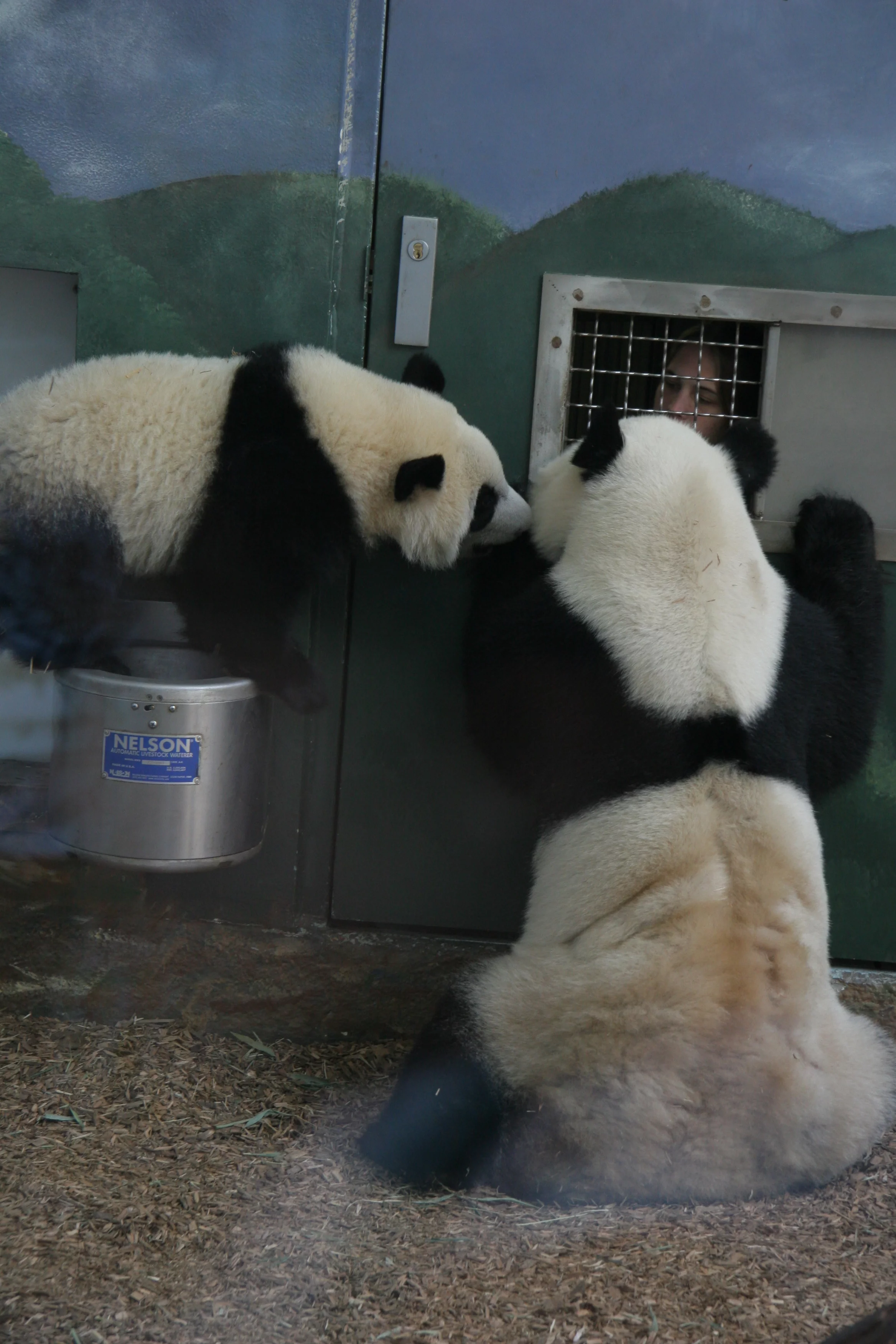 Zoo Atlanta