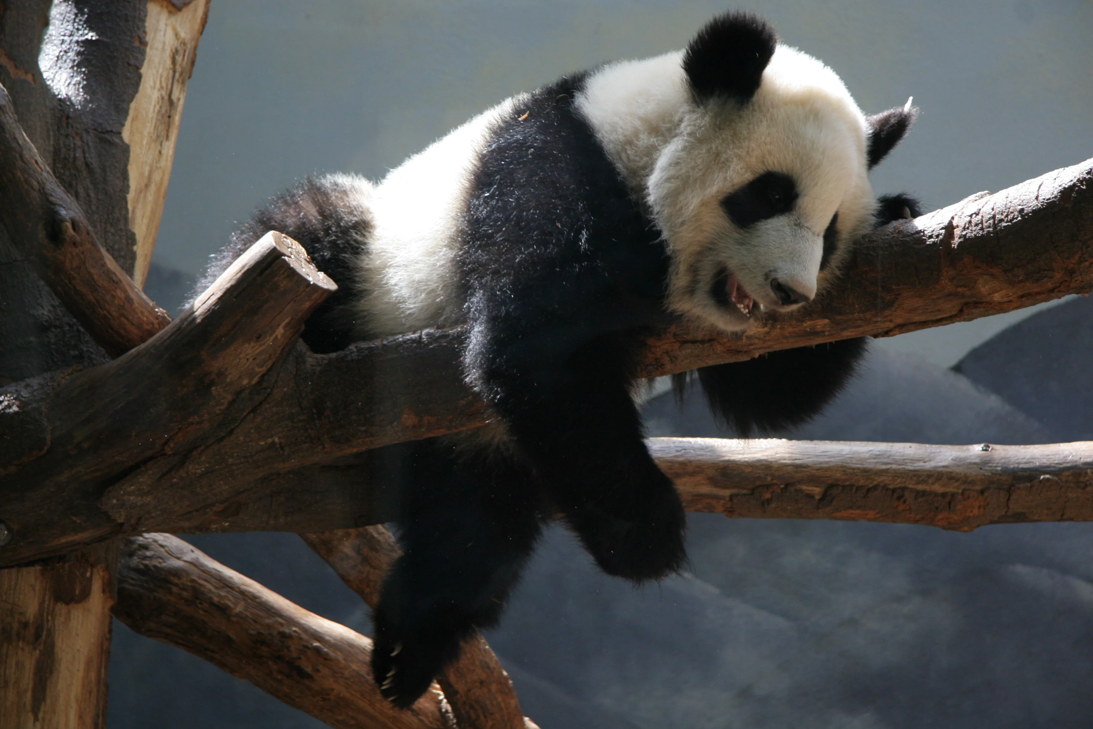 Zoo Atlanta