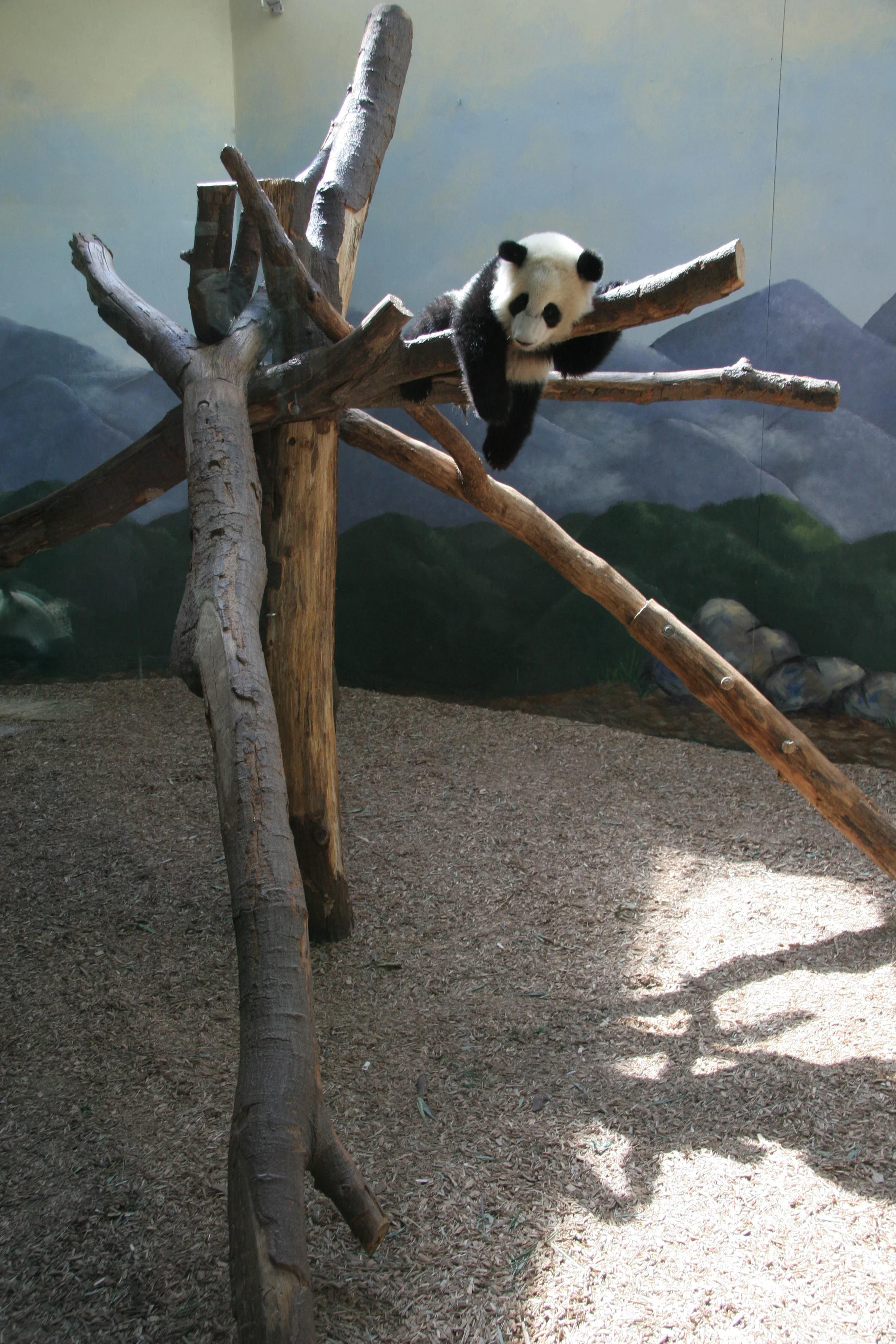 Zoo Atlanta