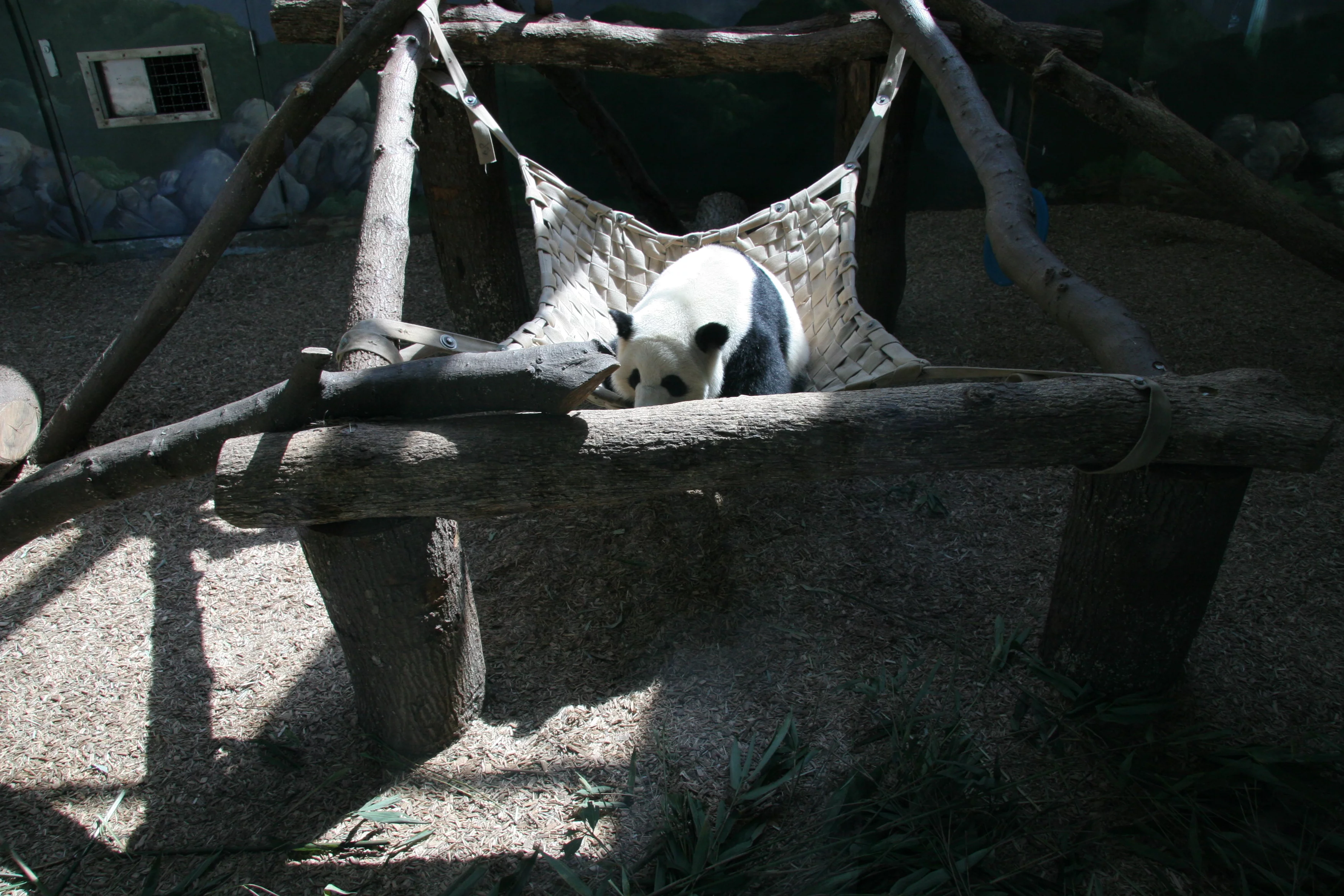 Zoo Atlanta
