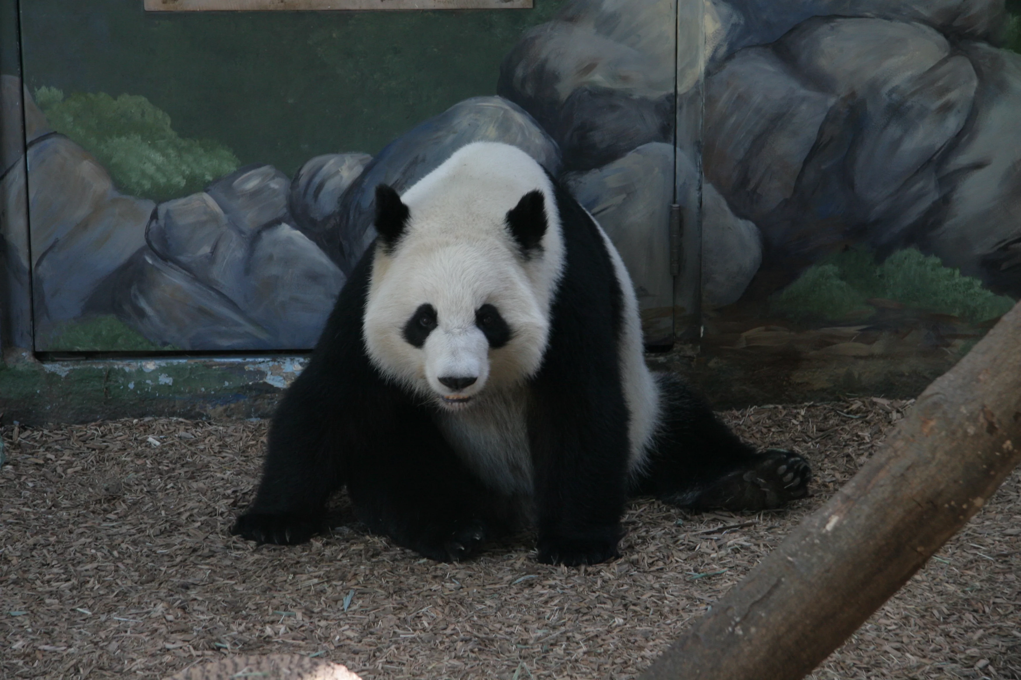 Zoo Atlanta