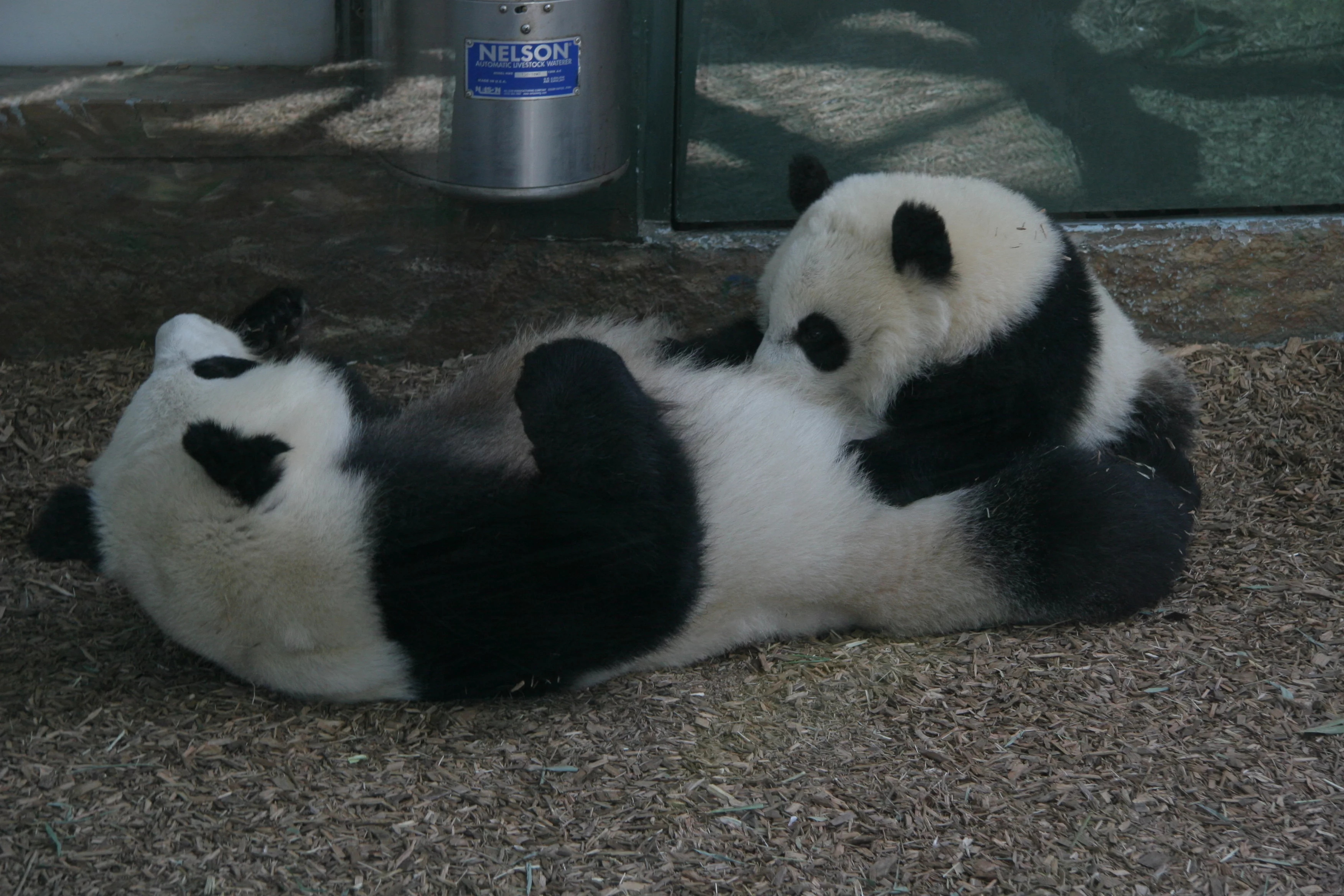 Zoo Atlanta