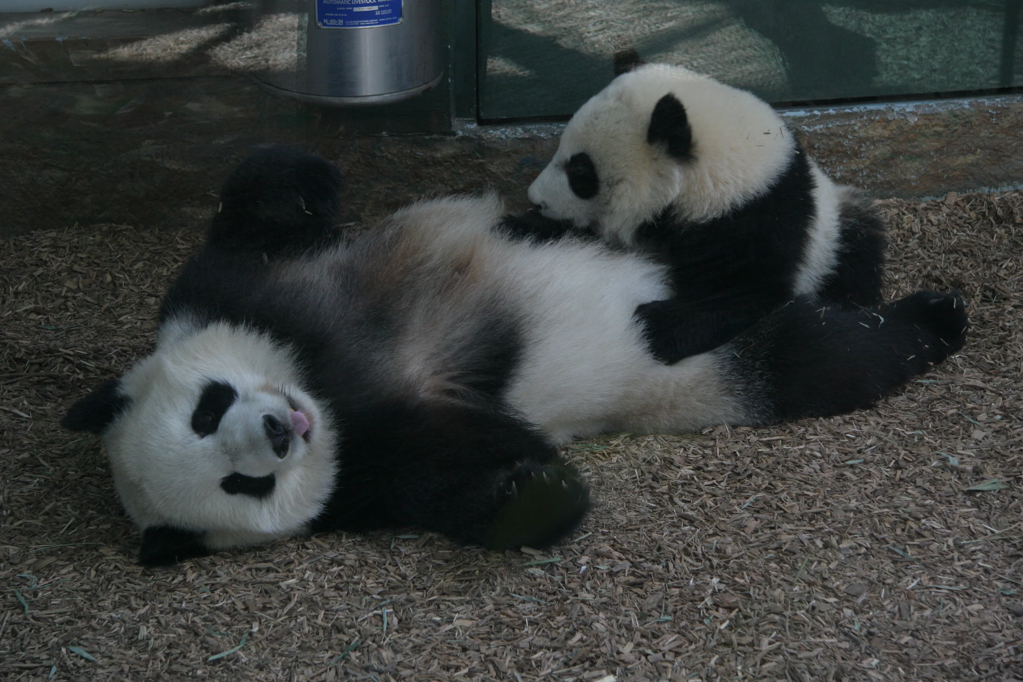 Zoo Atlanta