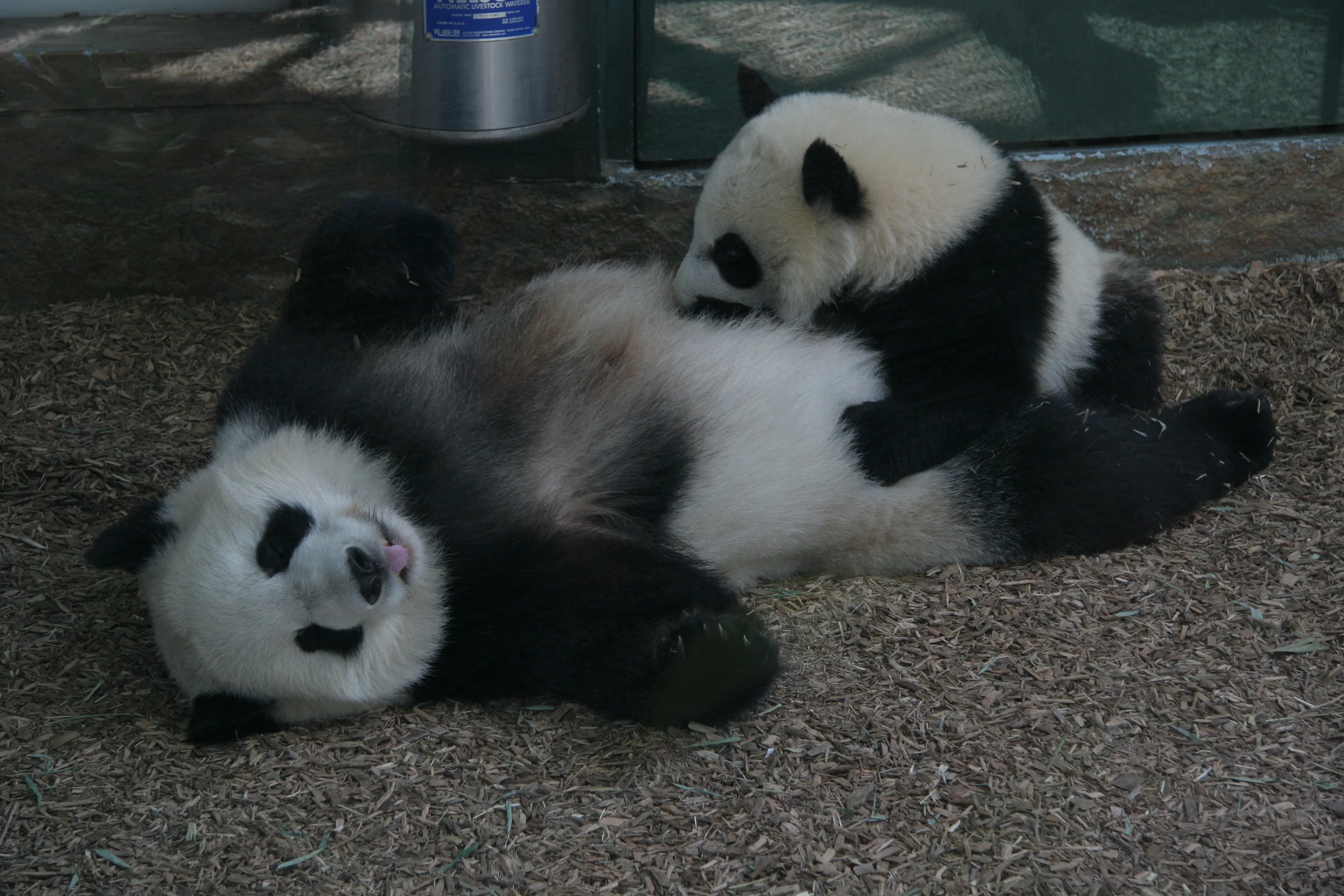 Zoo Atlanta