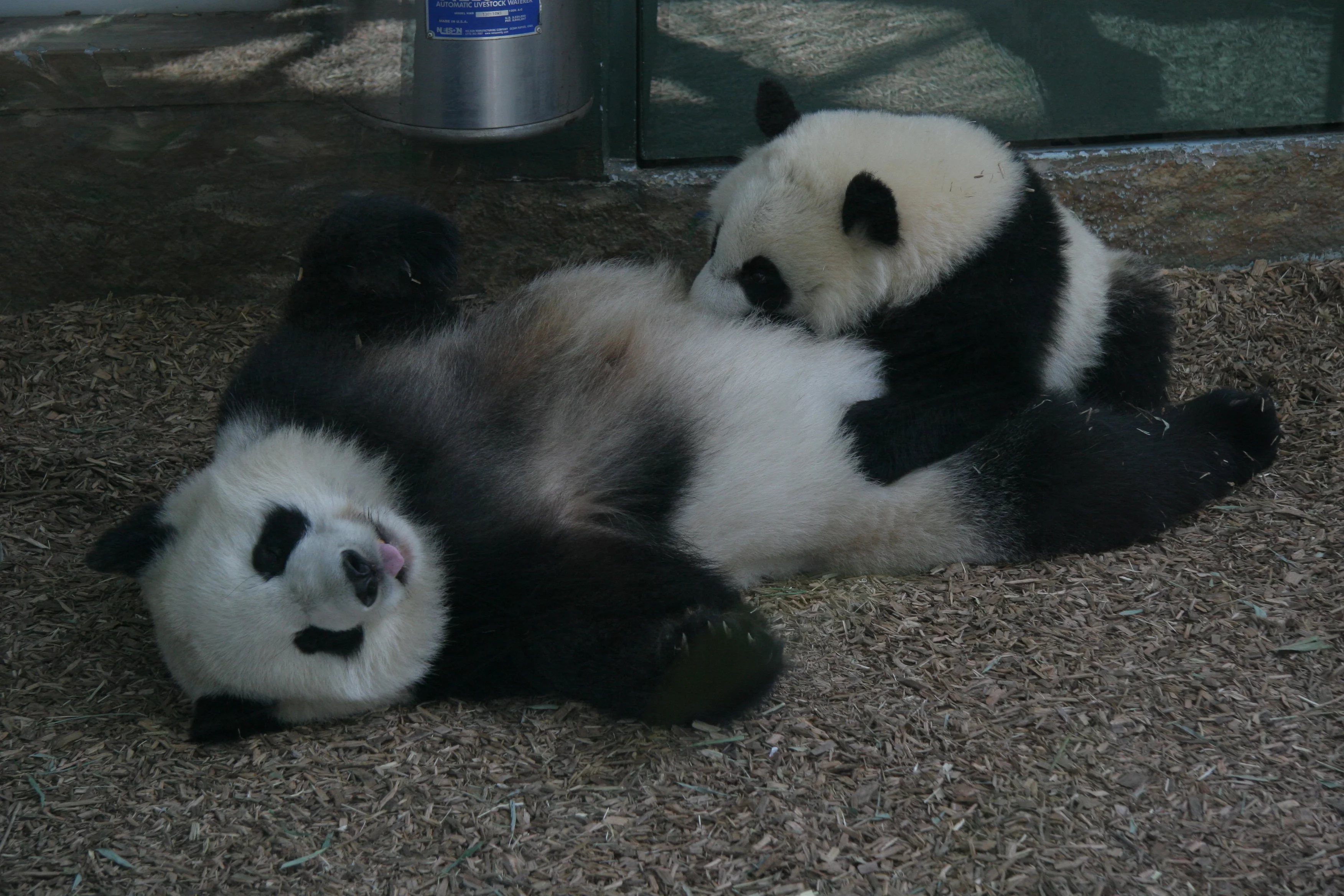 Zoo Atlanta
