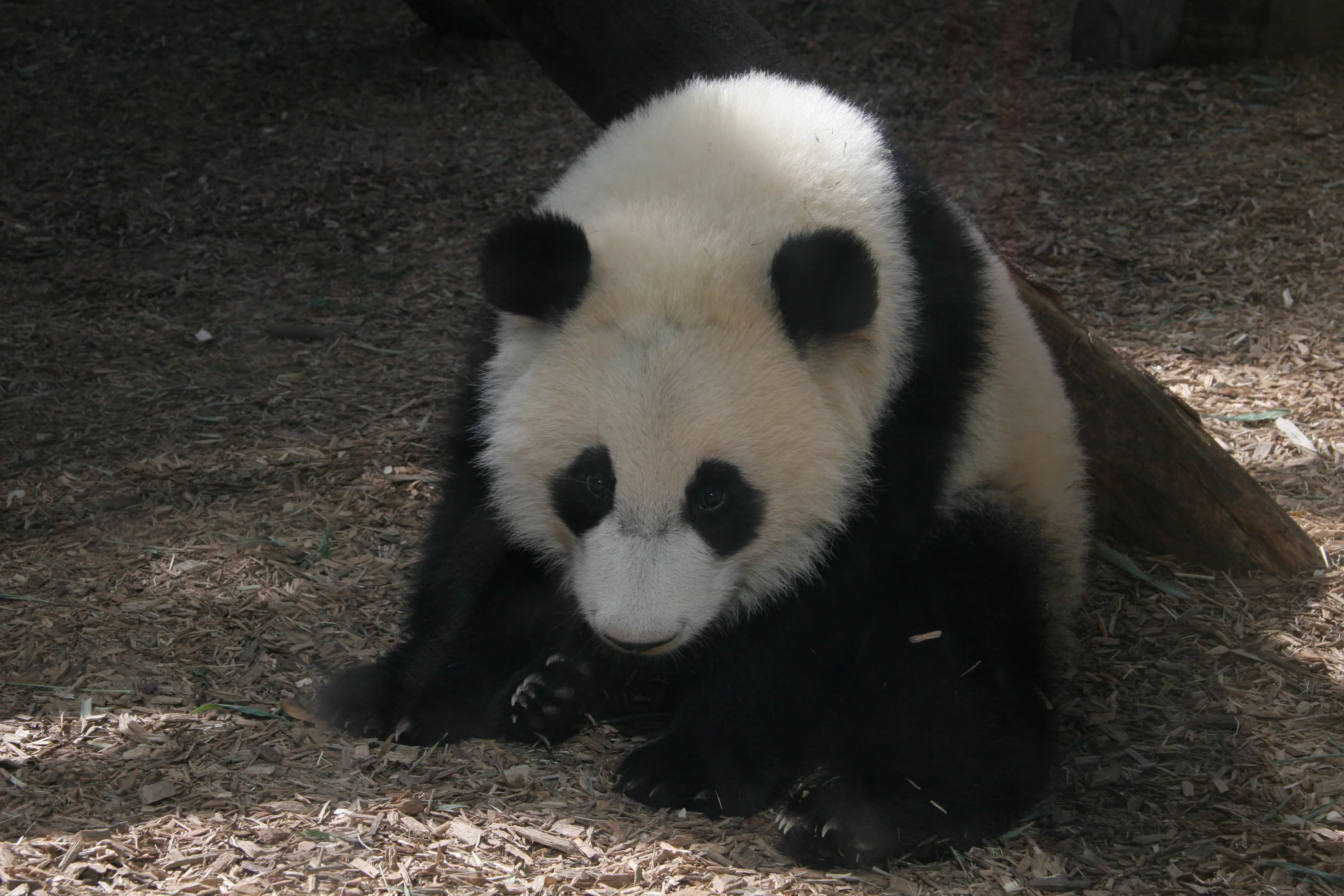 Zoo Atlanta