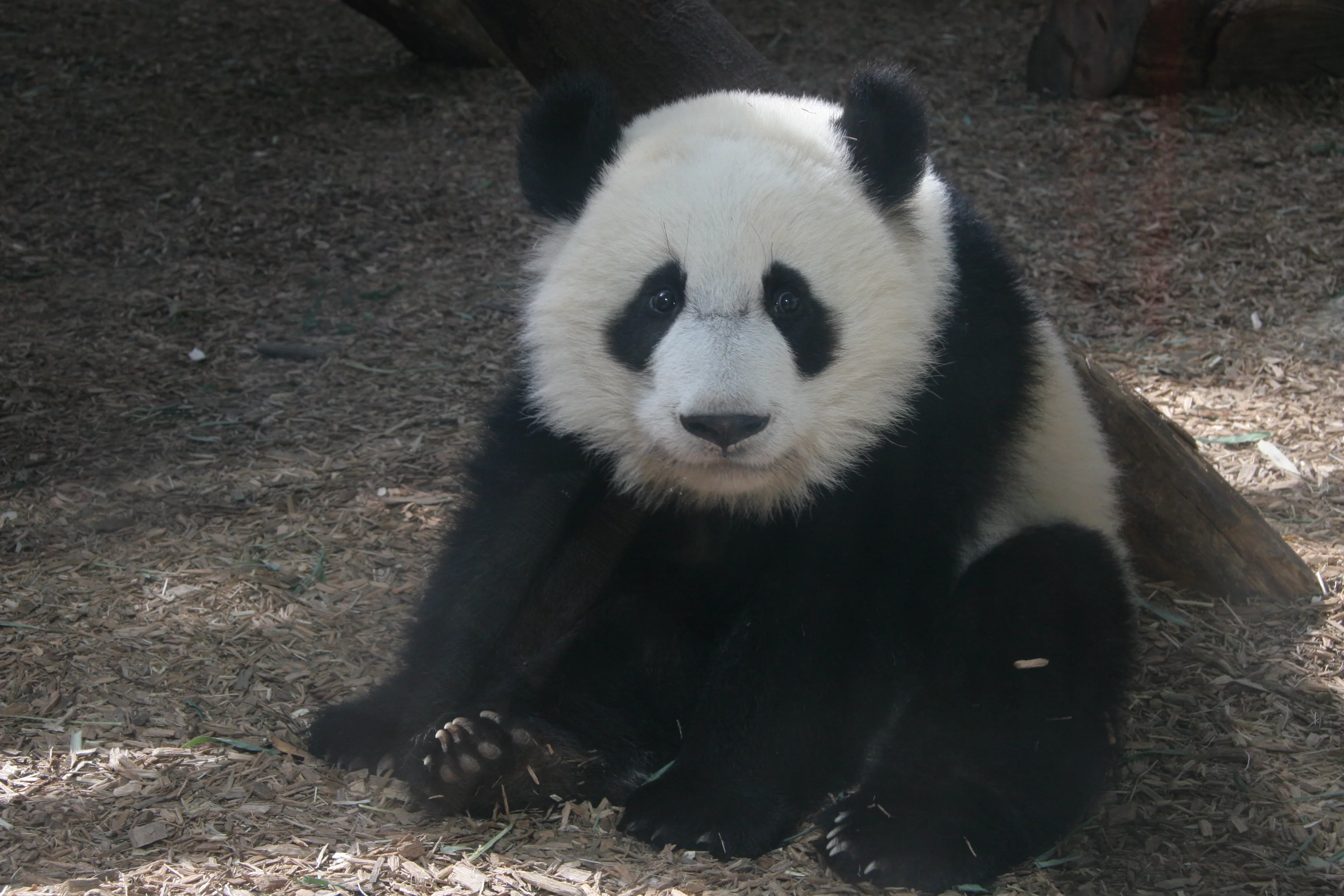 Zoo Atlanta