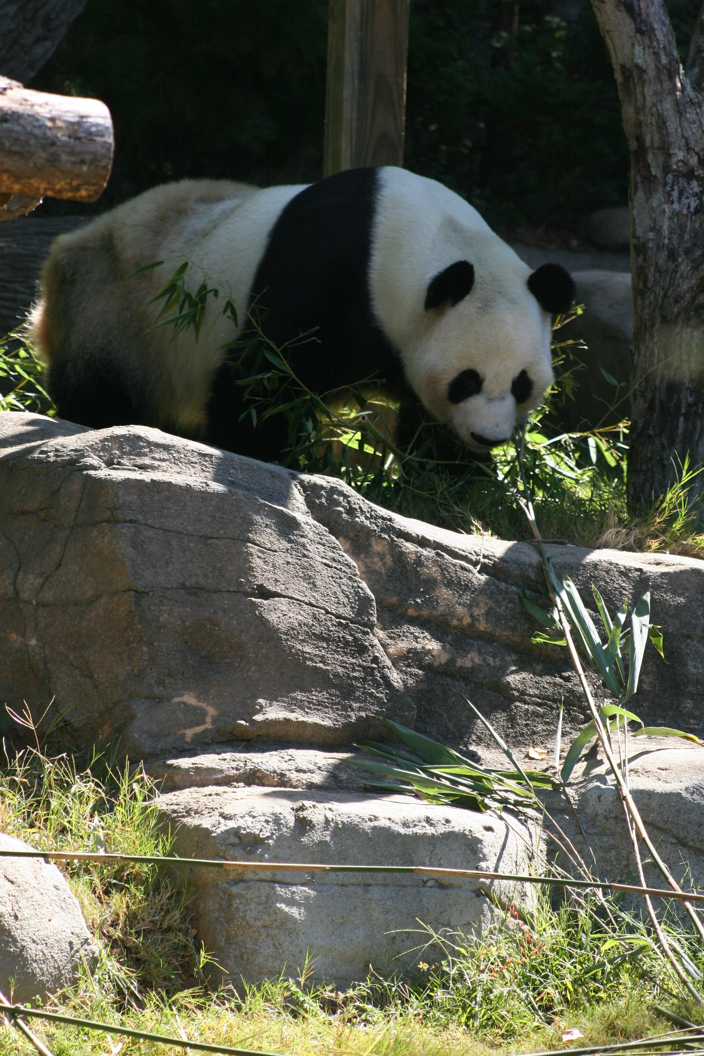 Zoo Atlanta