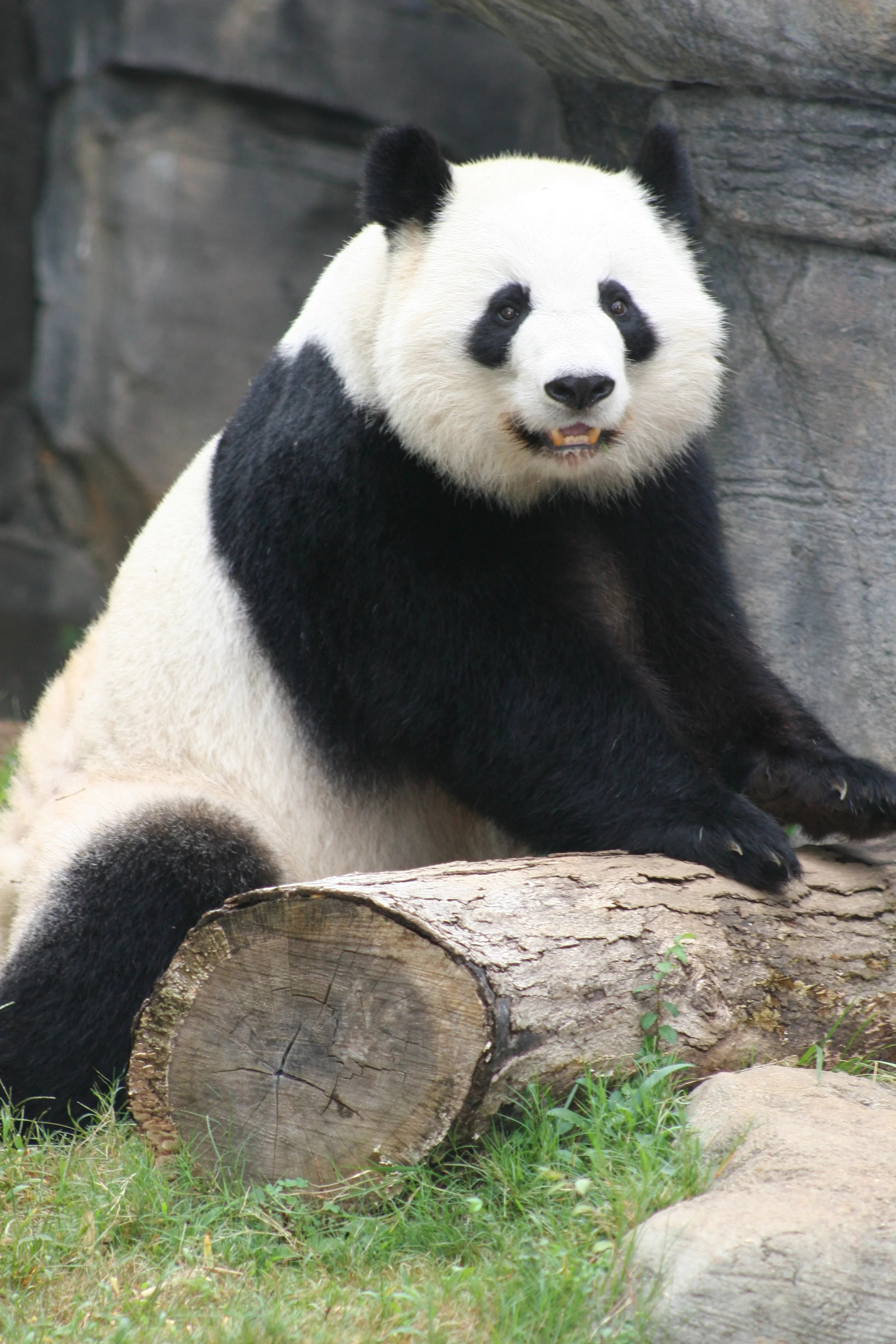 Zoo Atlanta