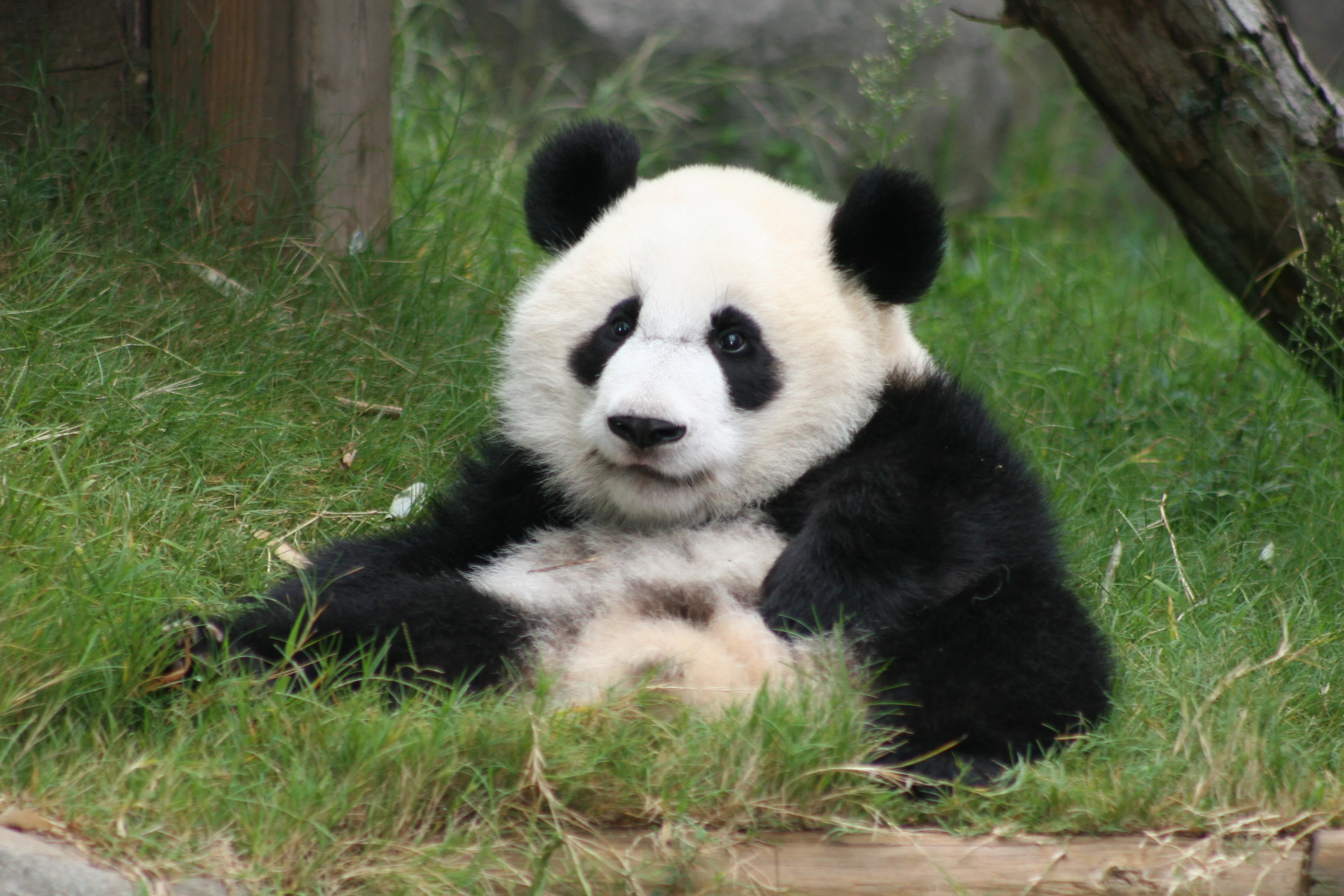 Zoo Atlanta