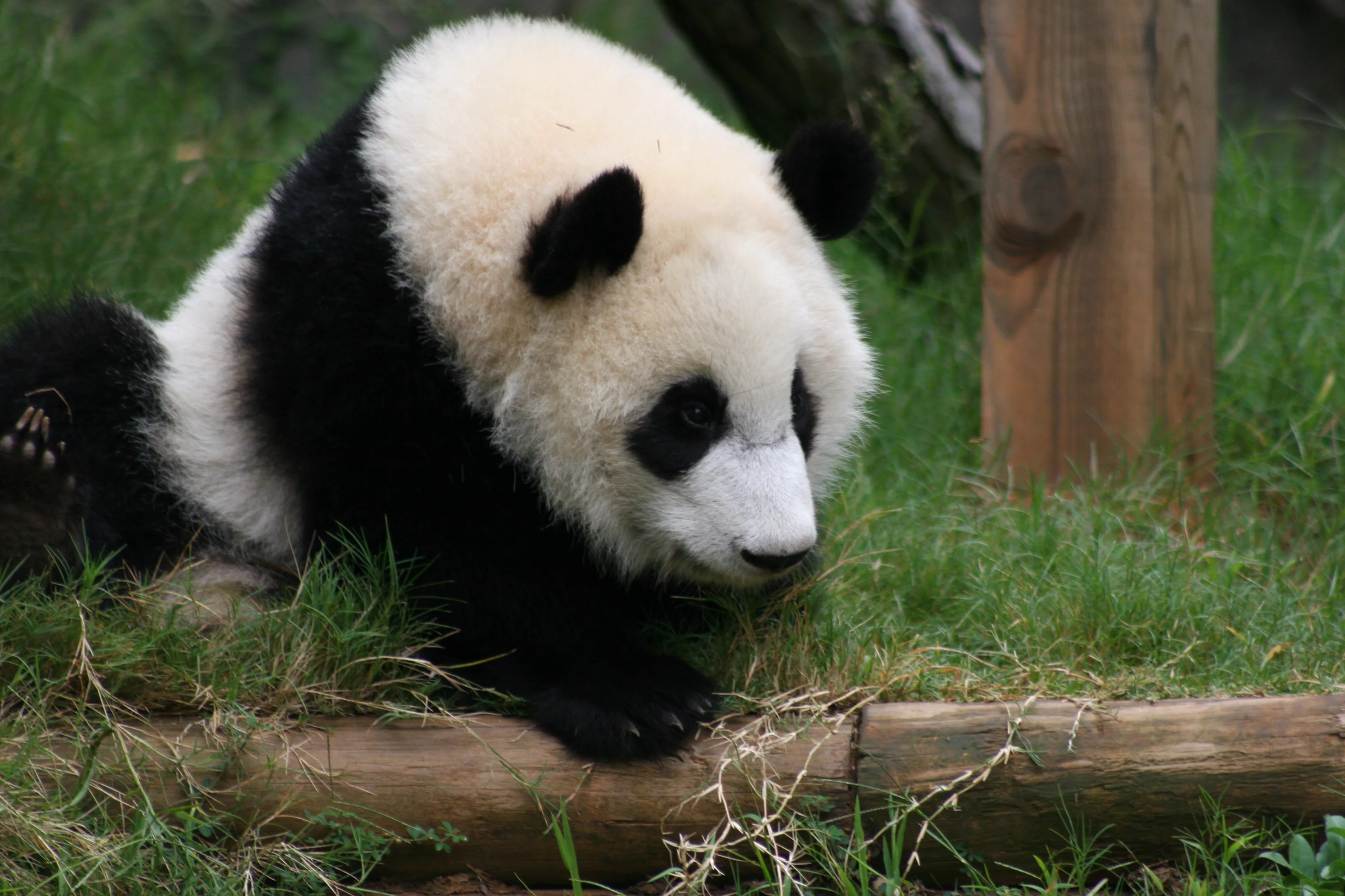 Zoo Atlanta