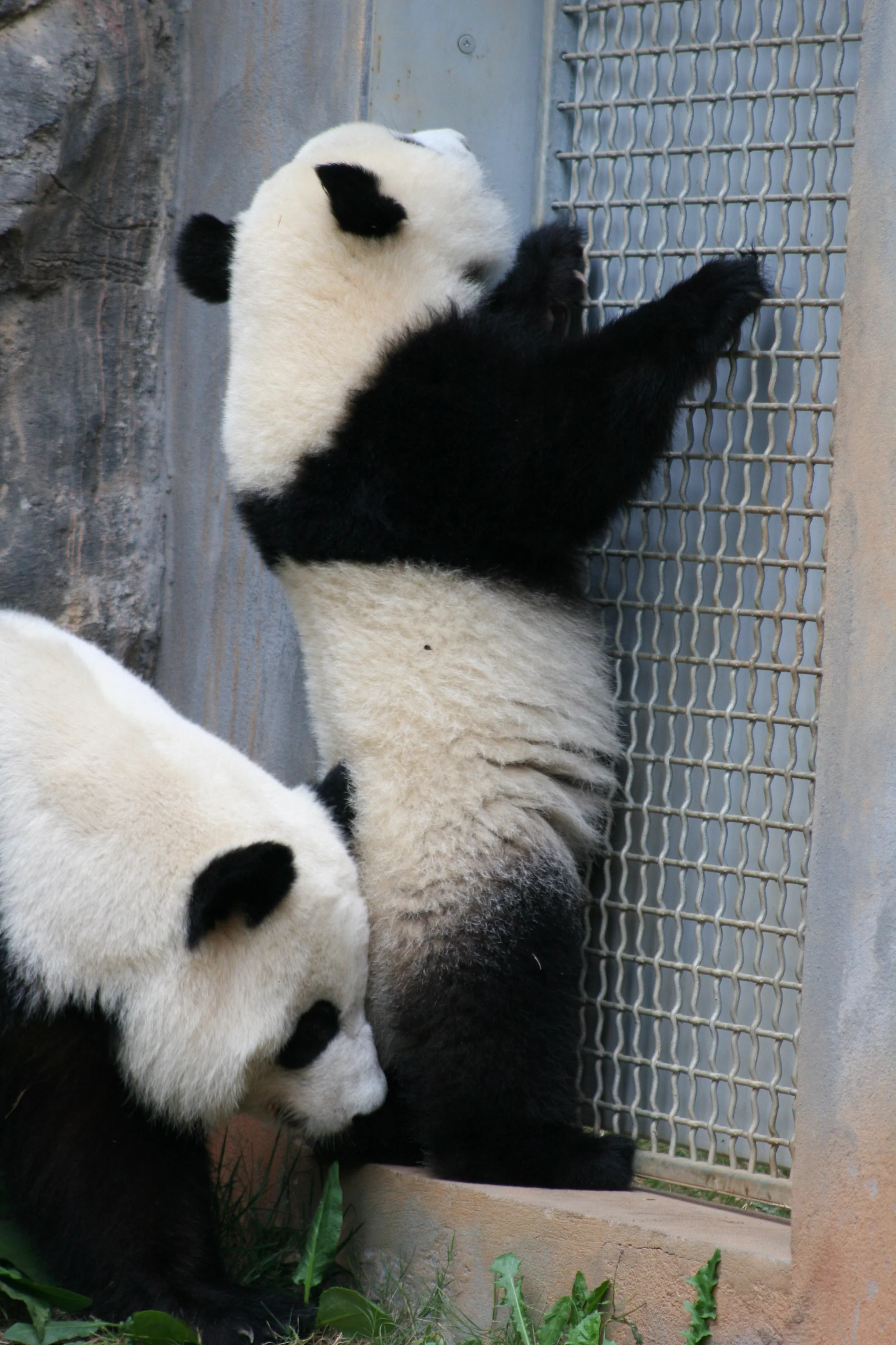 Zoo Atlanta