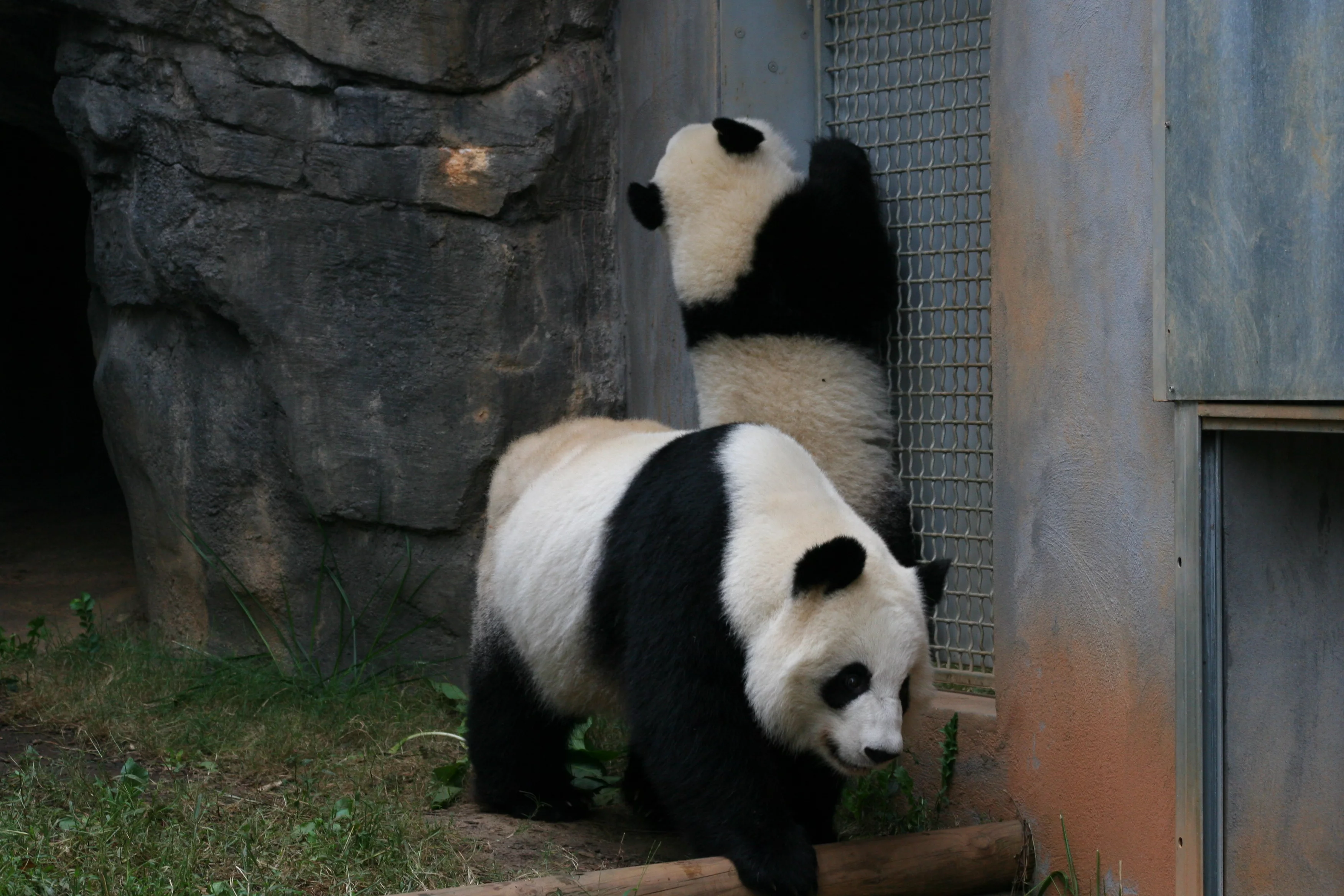 Zoo Atlanta