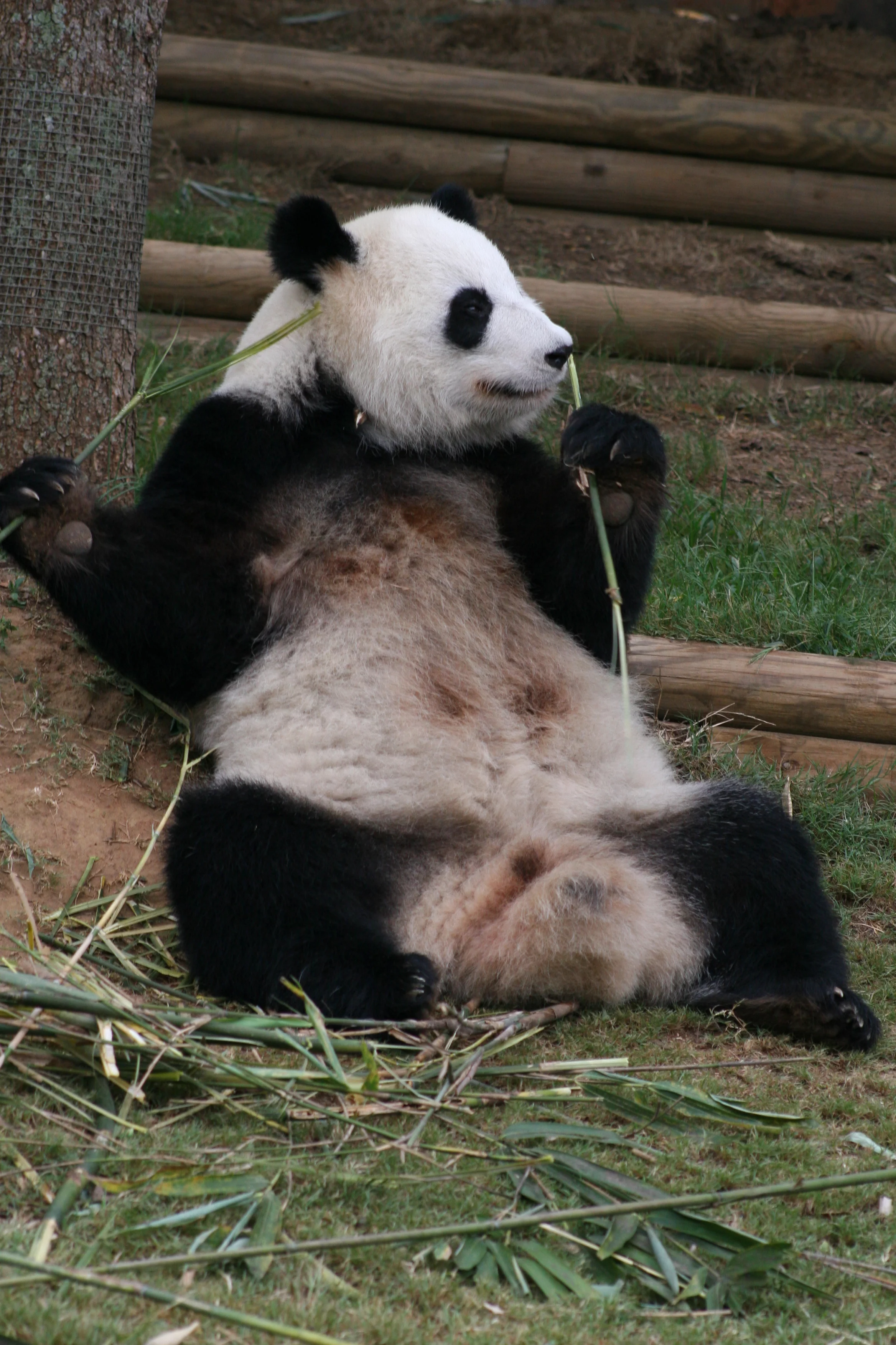 Zoo Atlanta