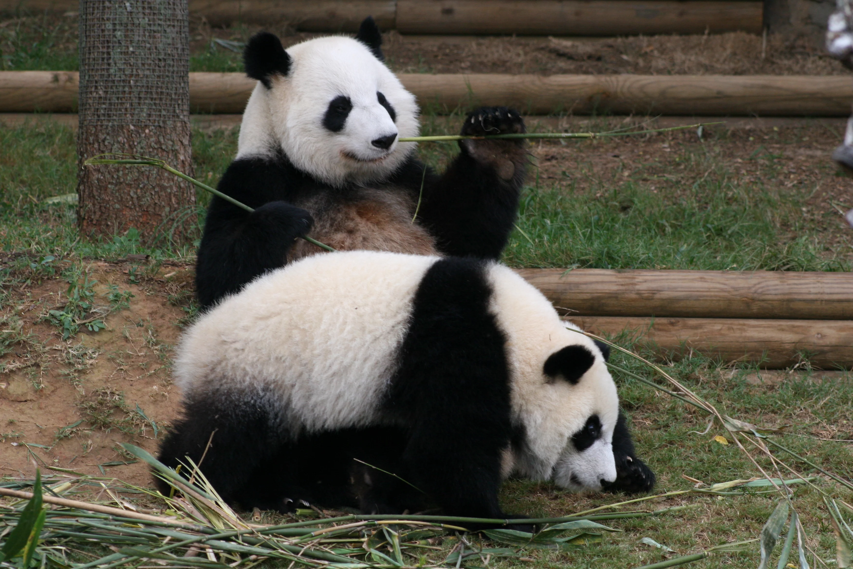 Zoo Atlanta