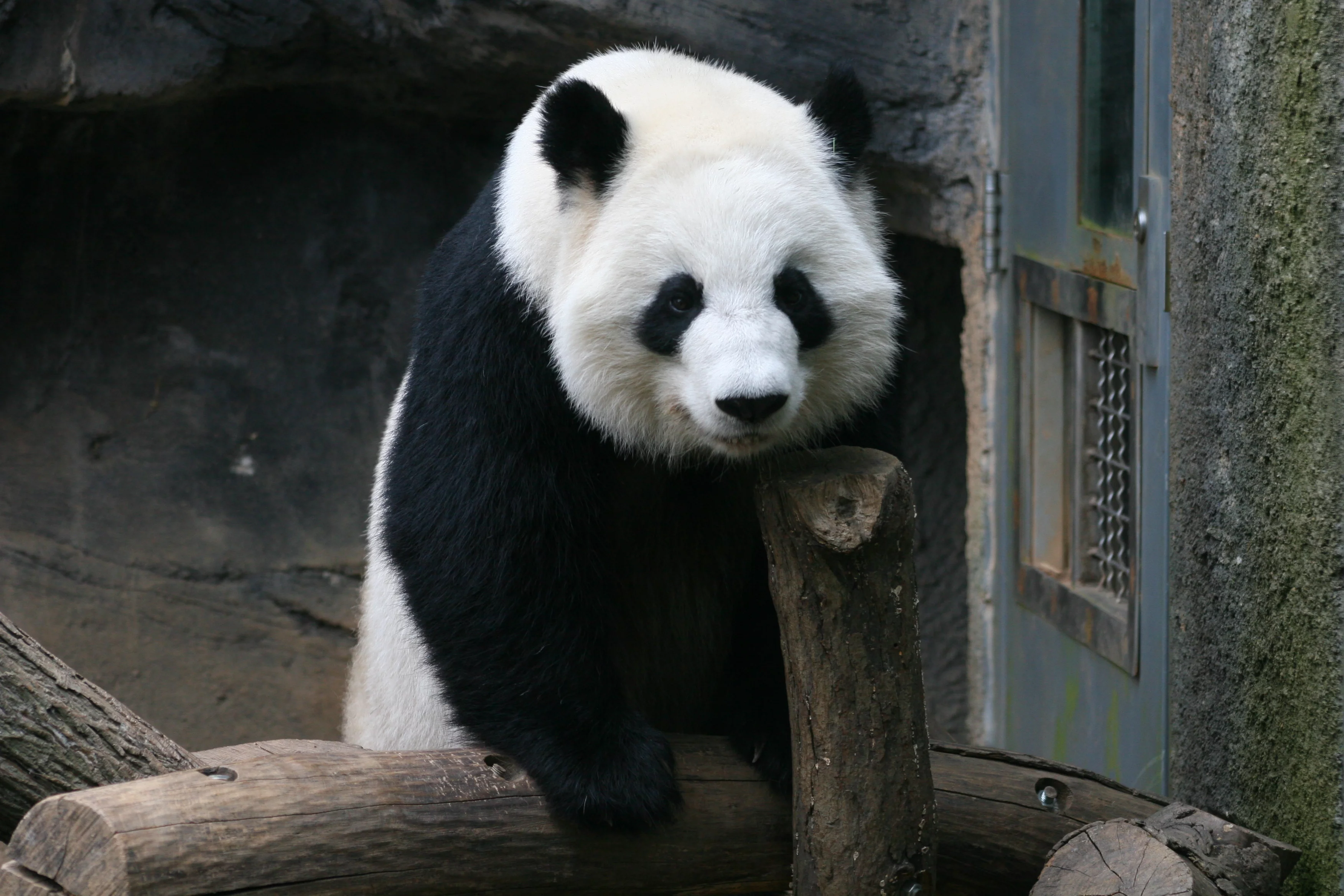 Zoo Atlanta