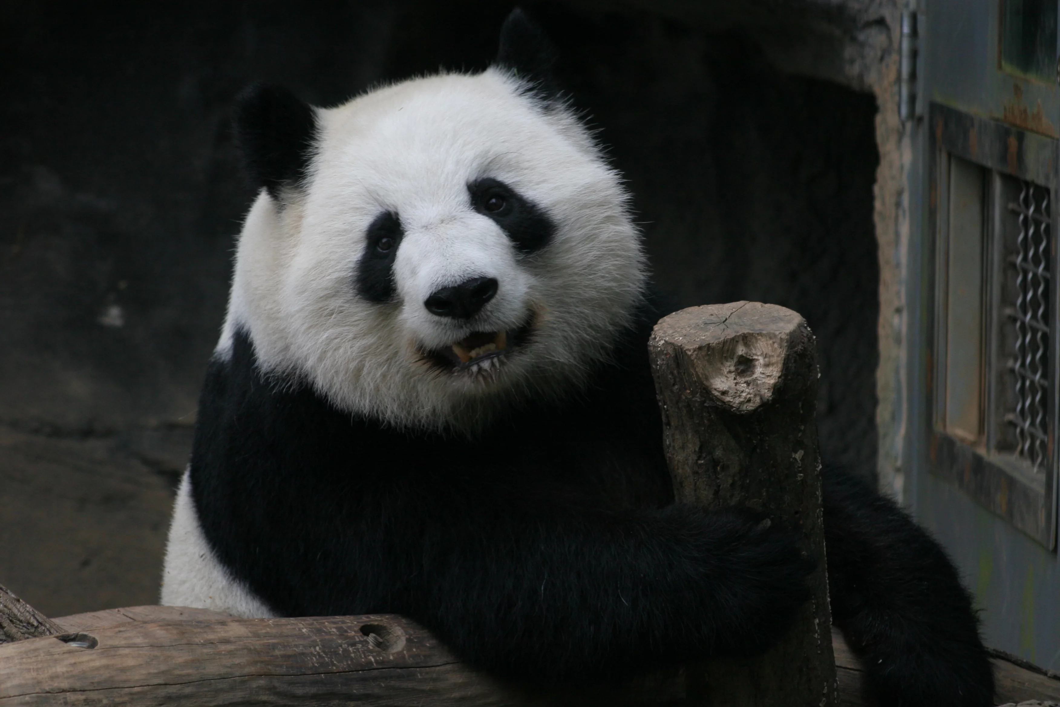 Zoo Atlanta
