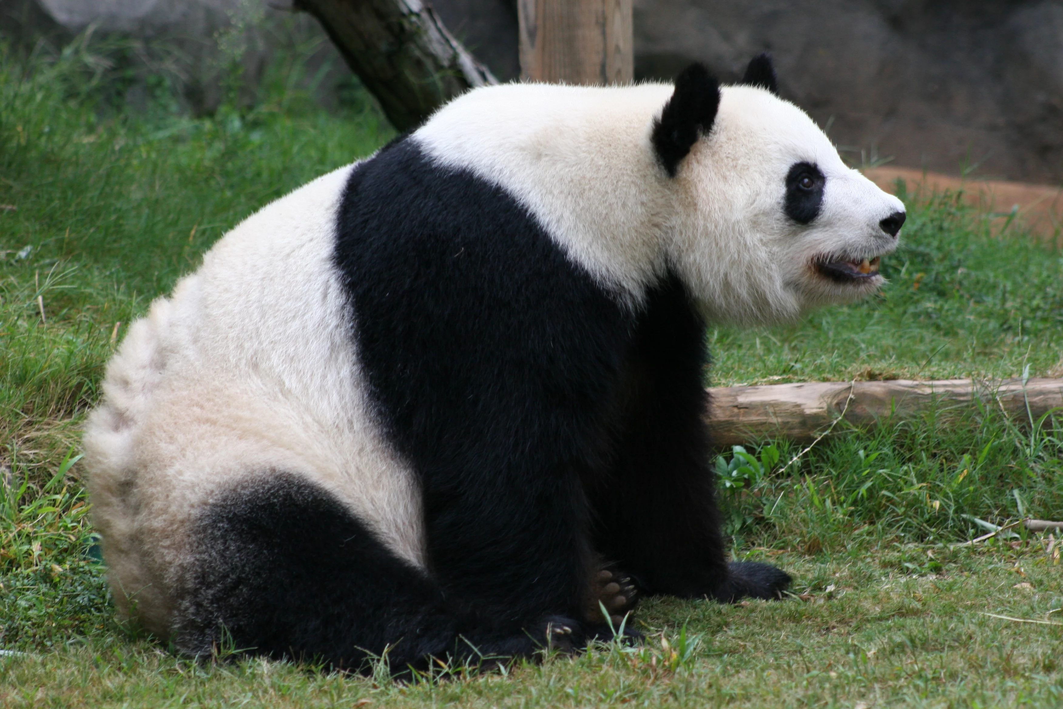 Zoo Atlanta
