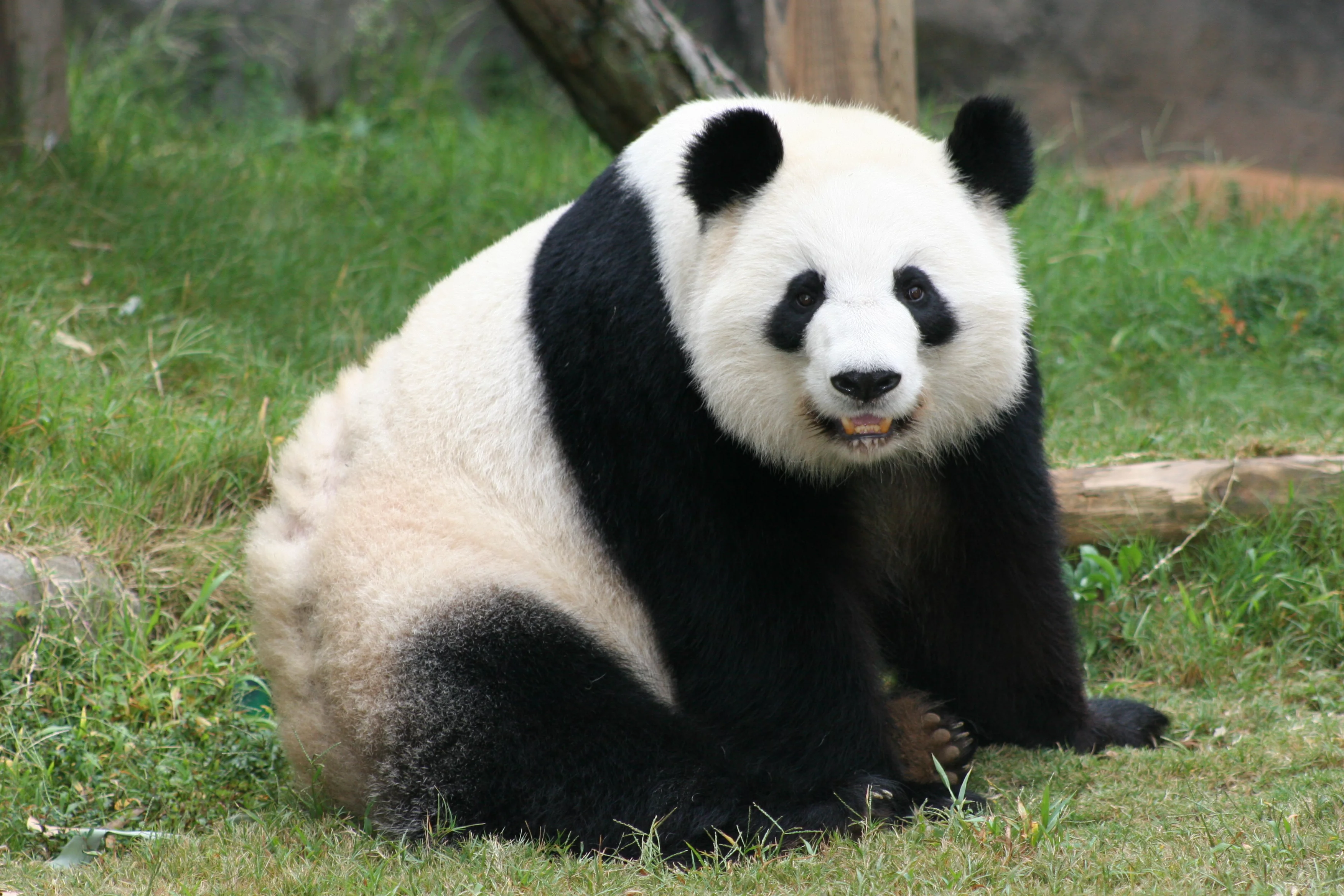 Zoo Atlanta