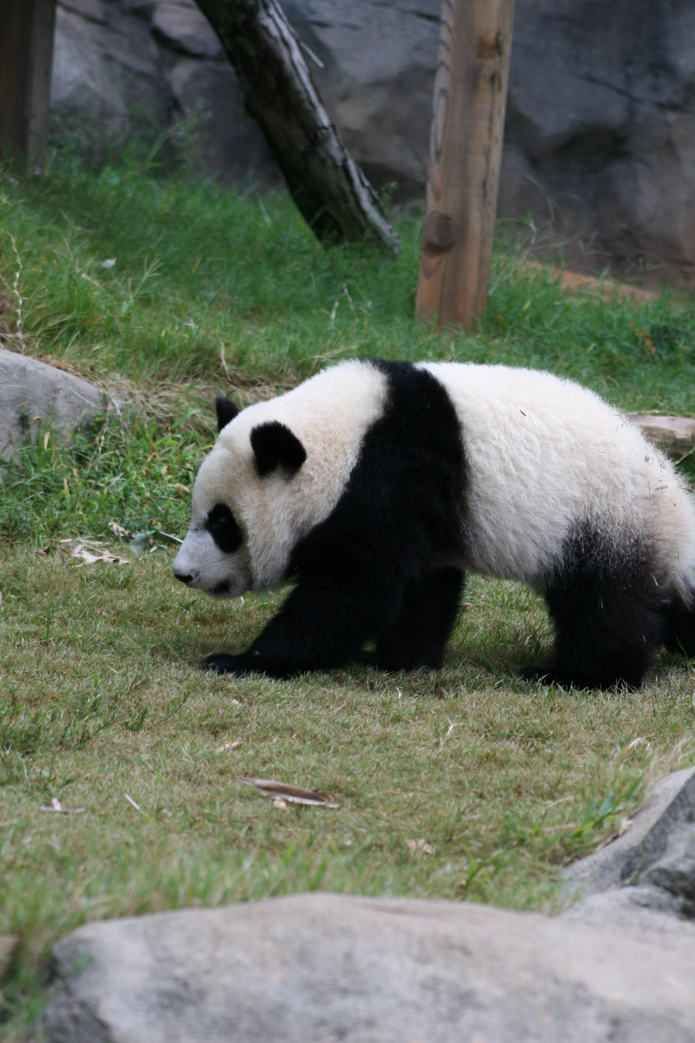 Zoo Atlanta