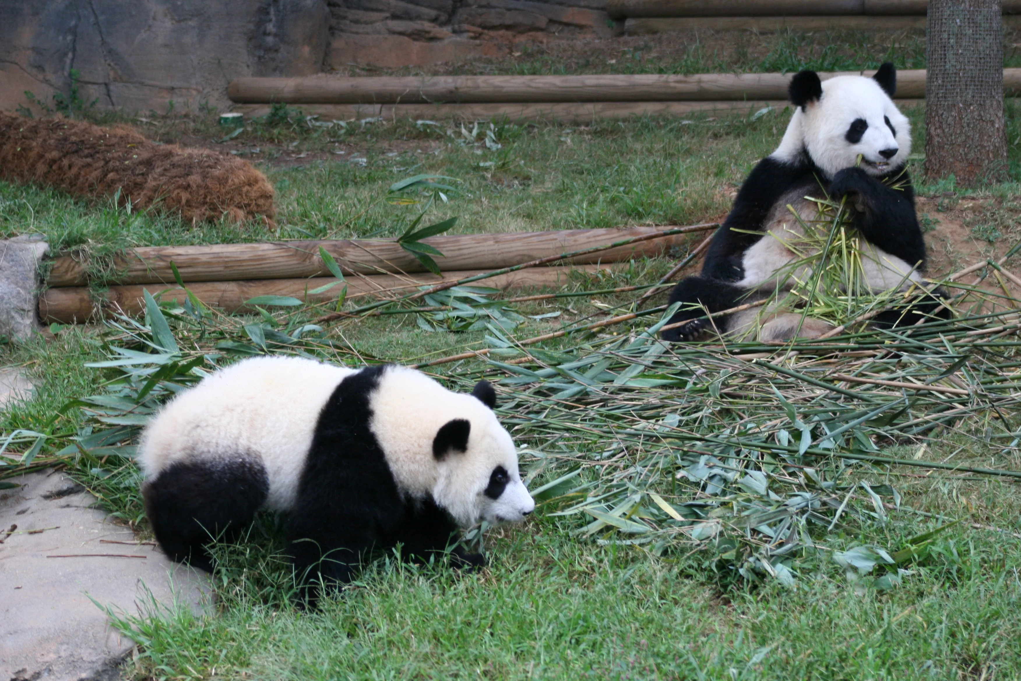 Zoo Atlanta