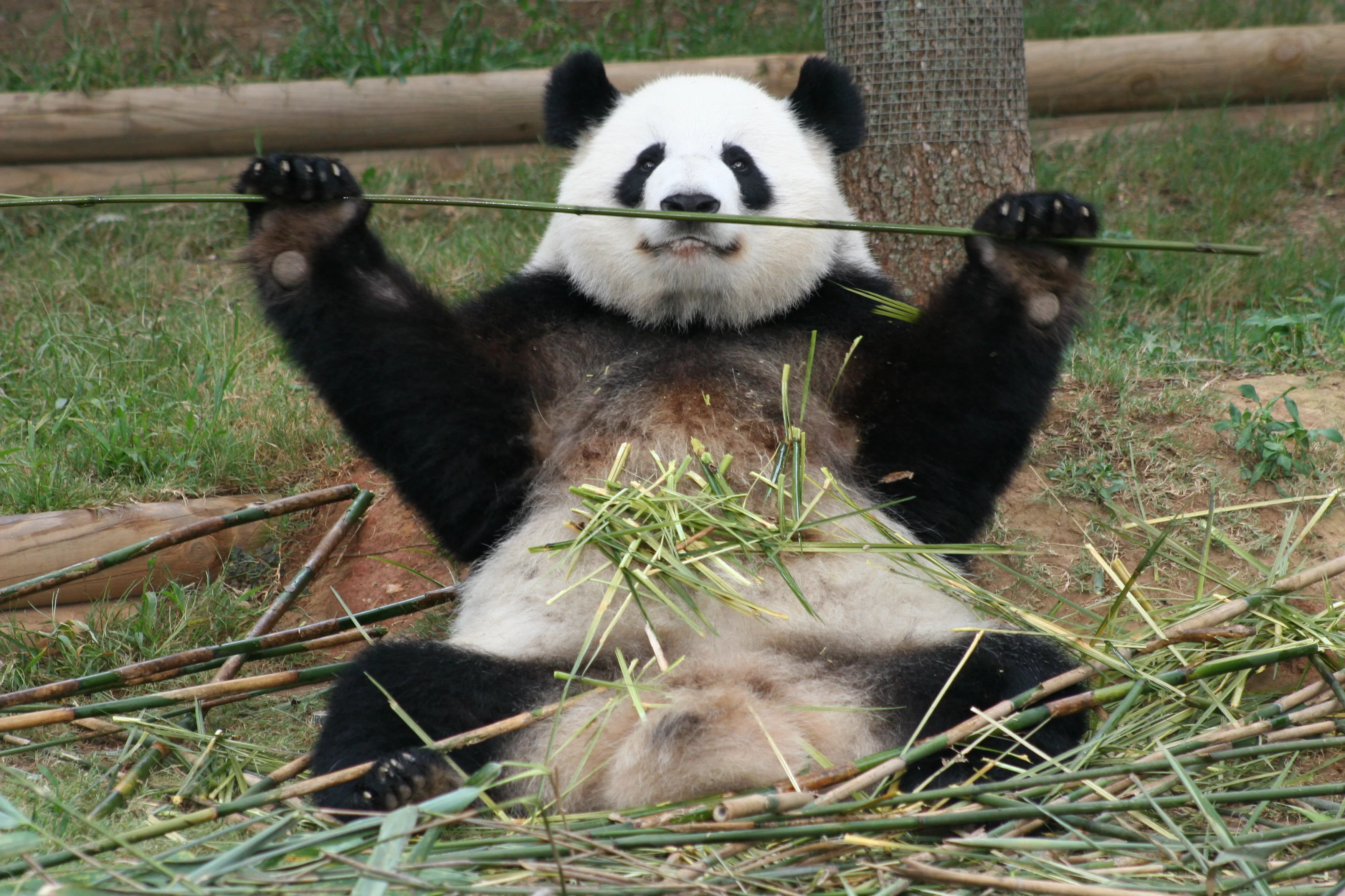 Zoo Atlanta