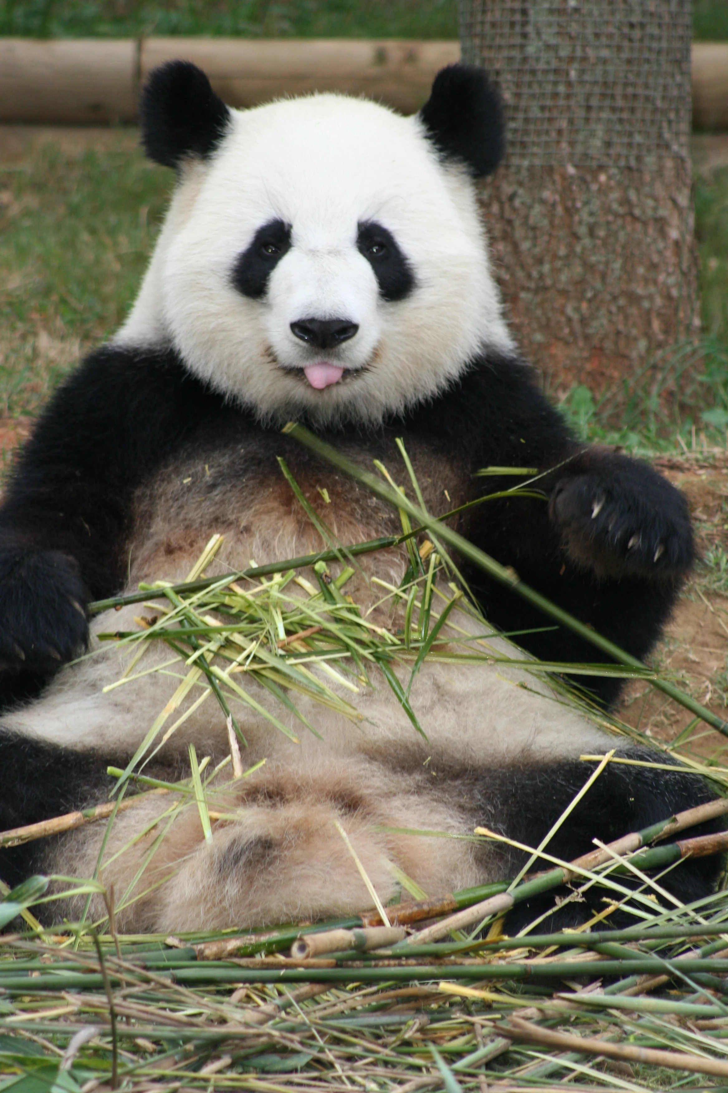 Zoo Atlanta
