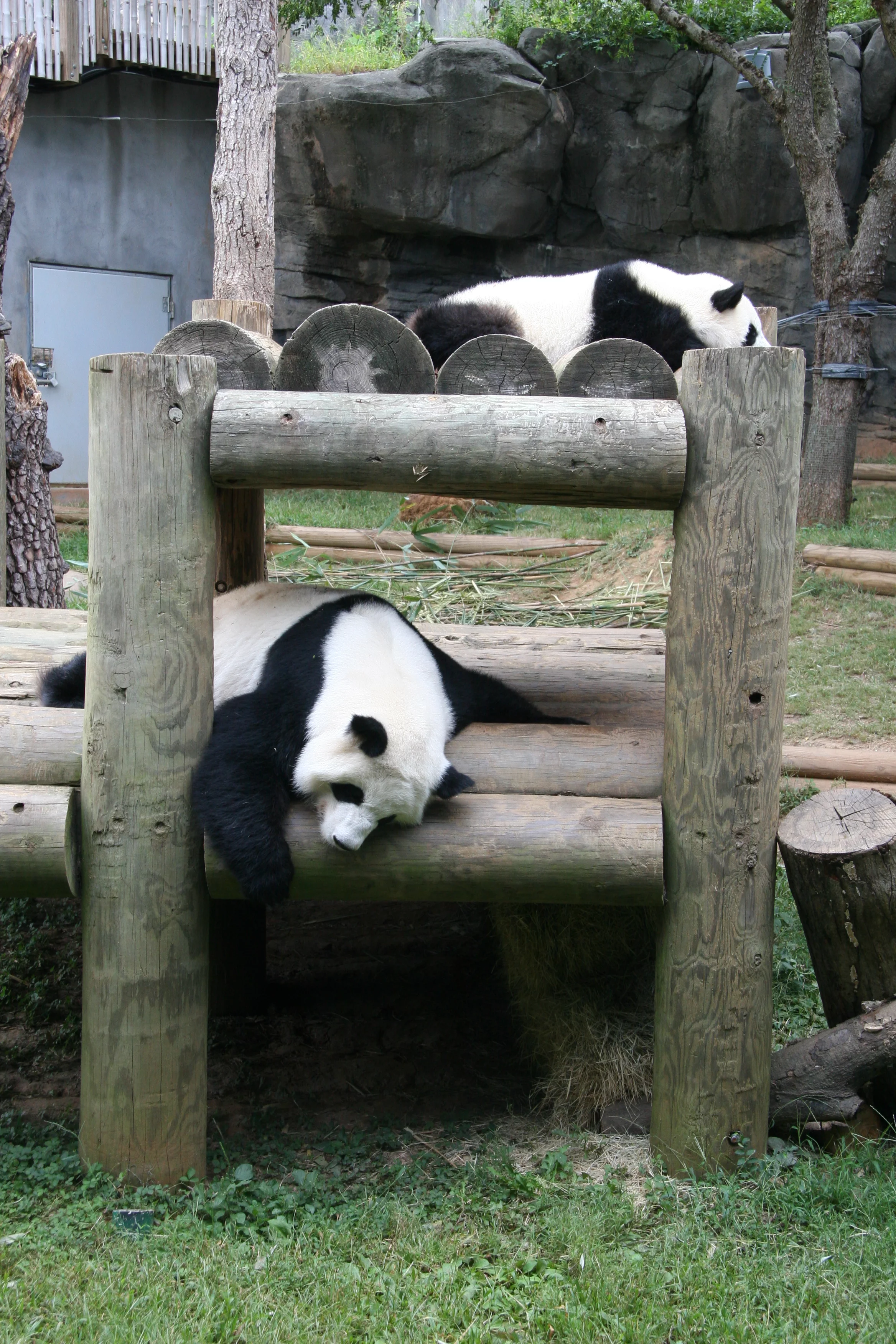 Zoo Atlanta
