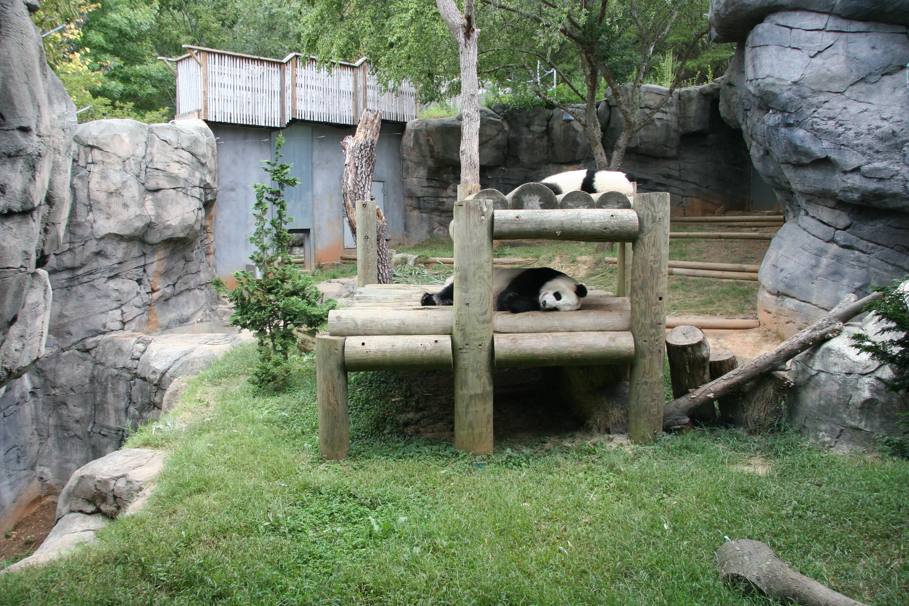 Zoo Atlanta