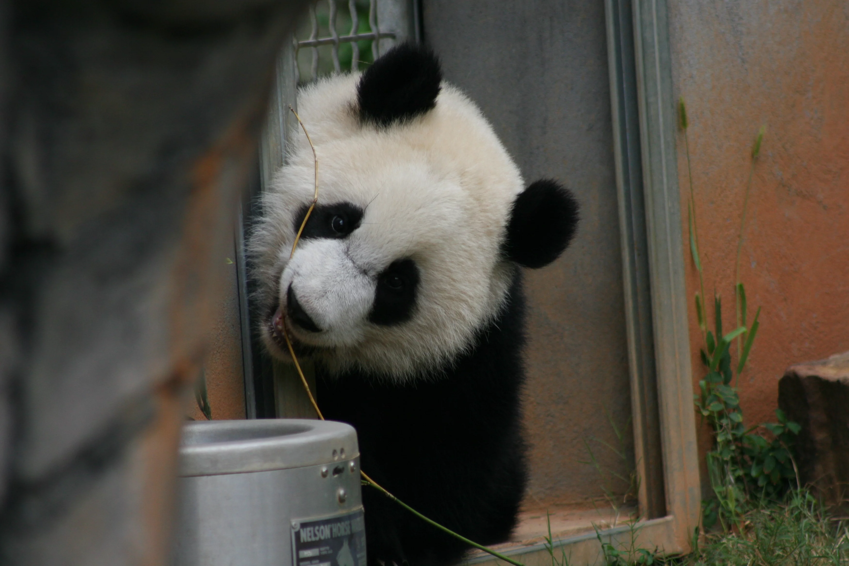 Zoo Atlanta