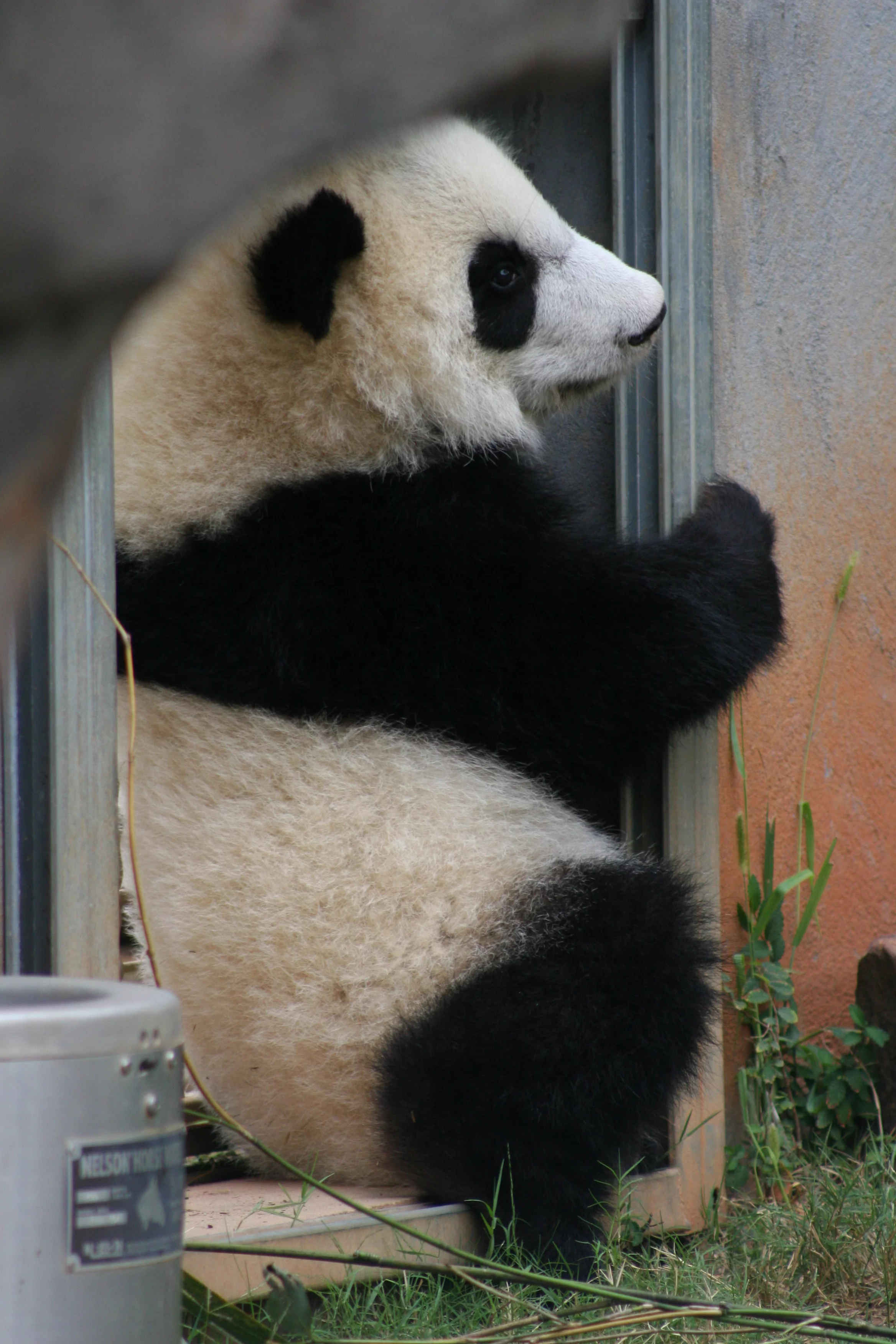 Zoo Atlanta