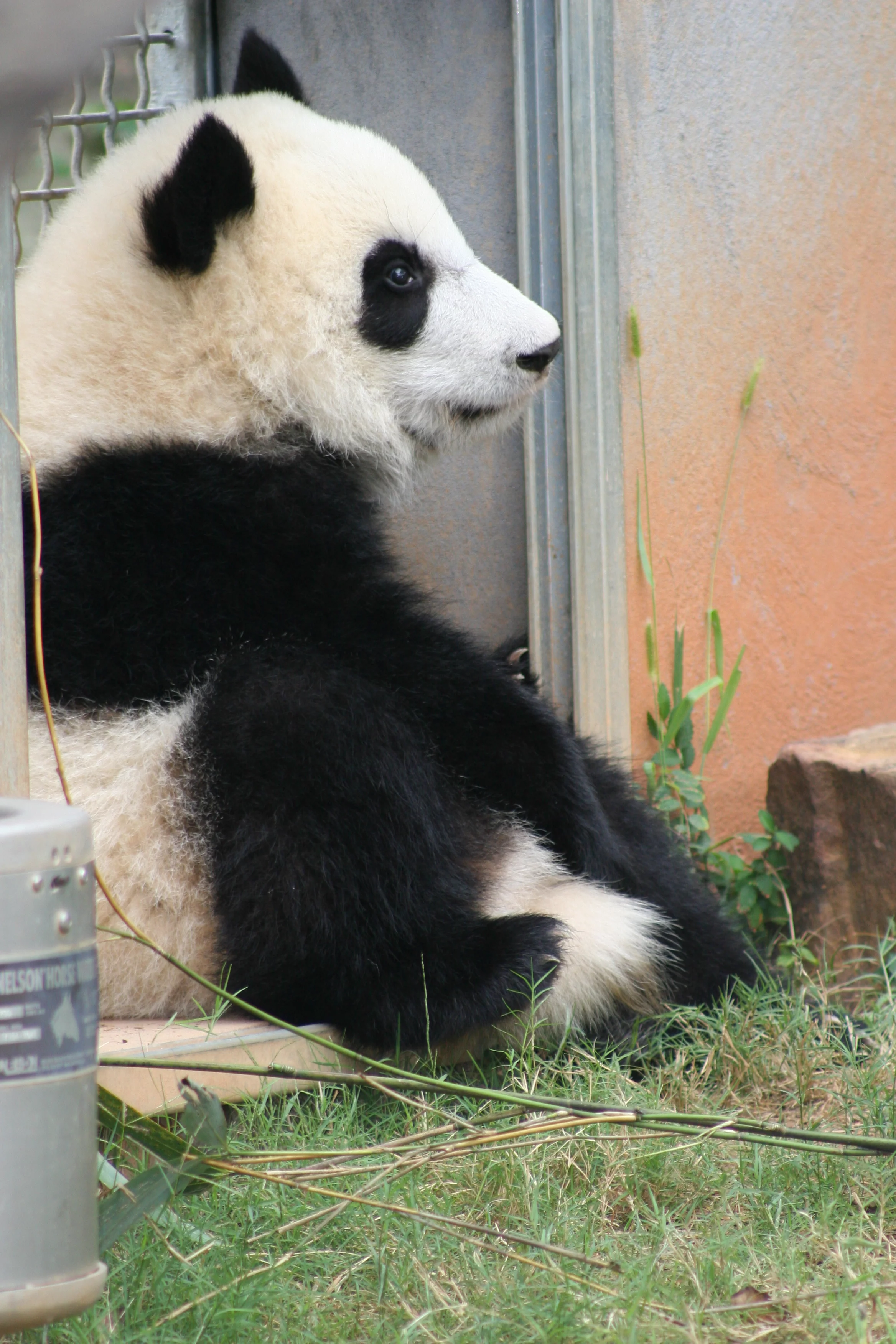 Zoo Atlanta