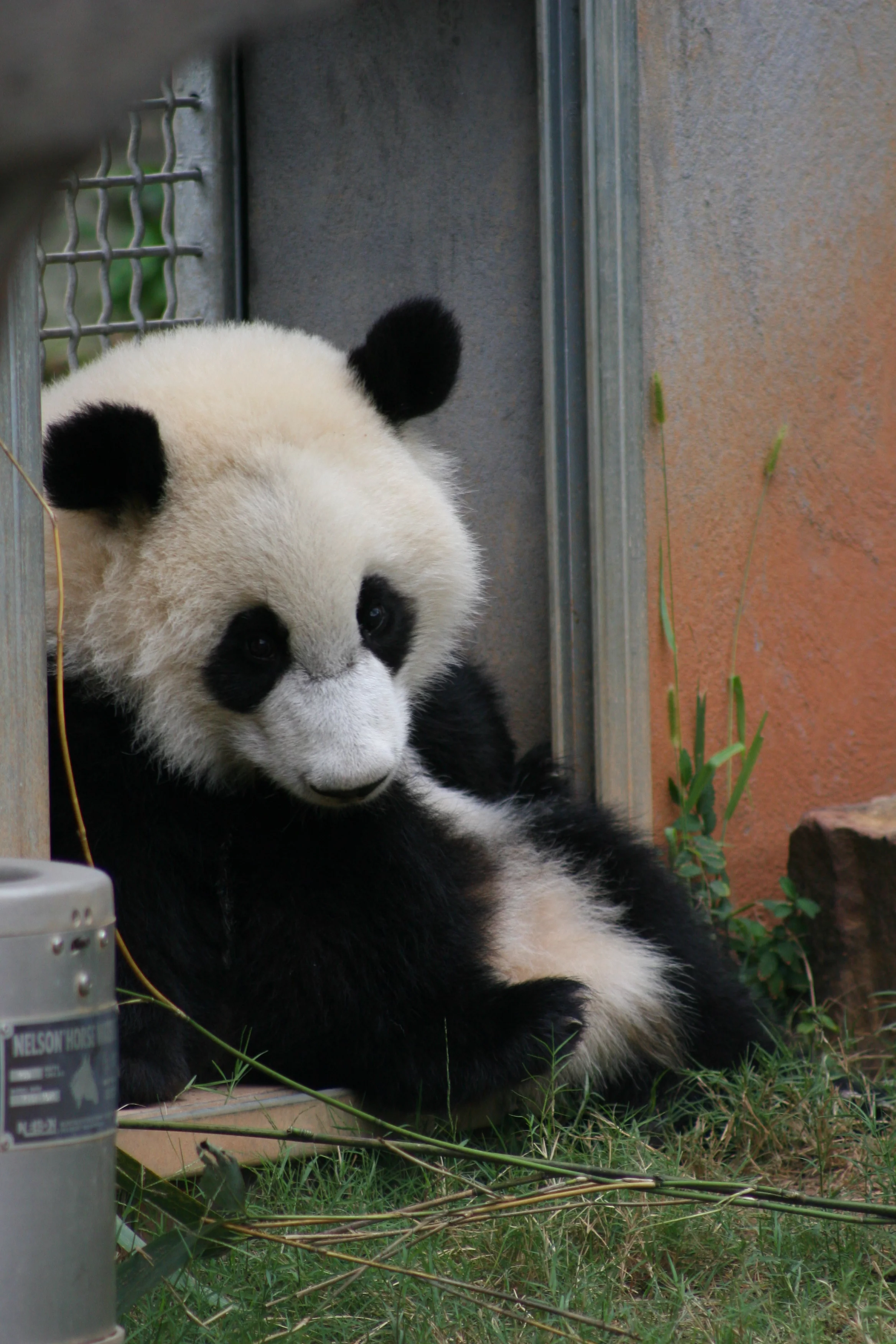 Zoo Atlanta