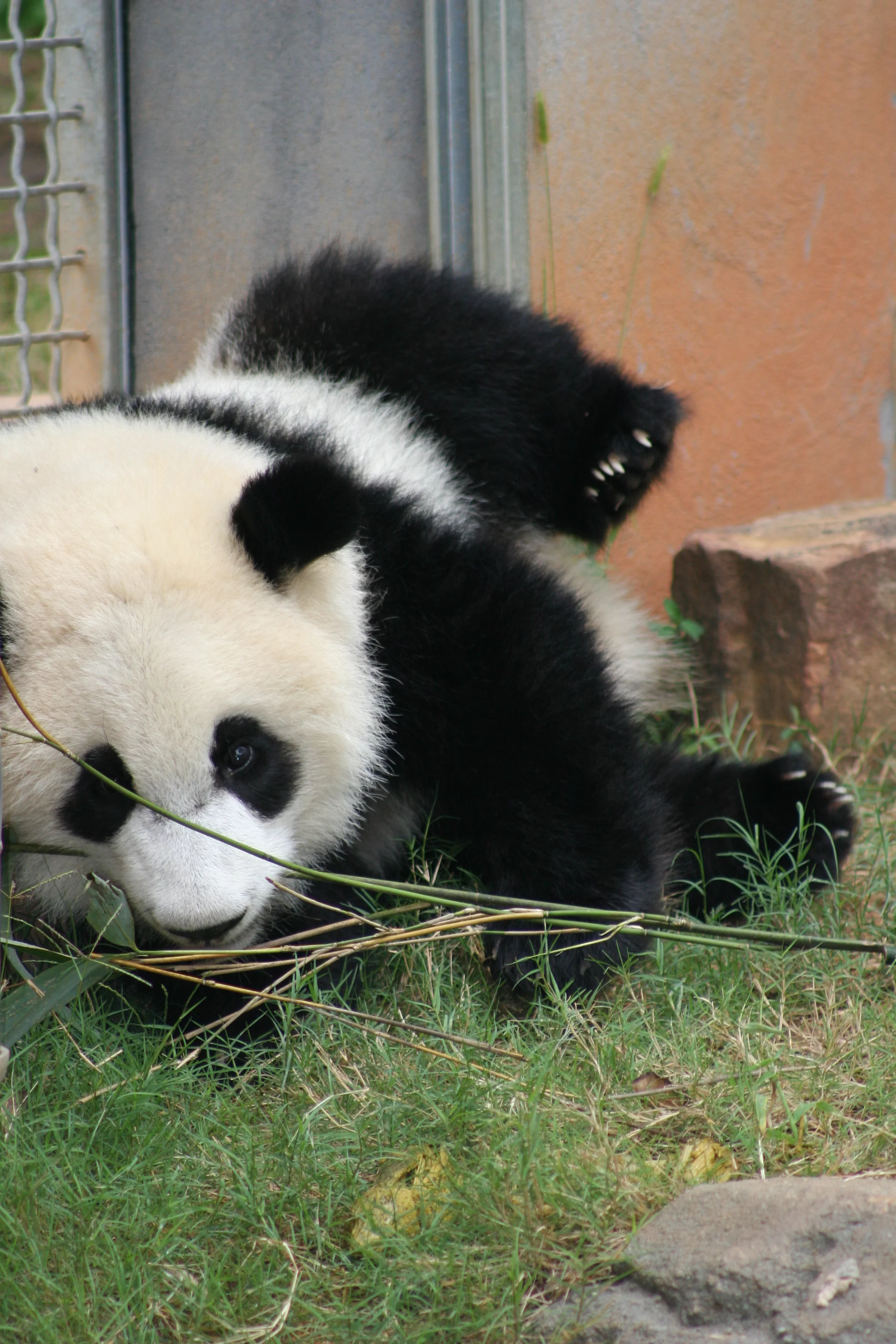 Zoo Atlanta