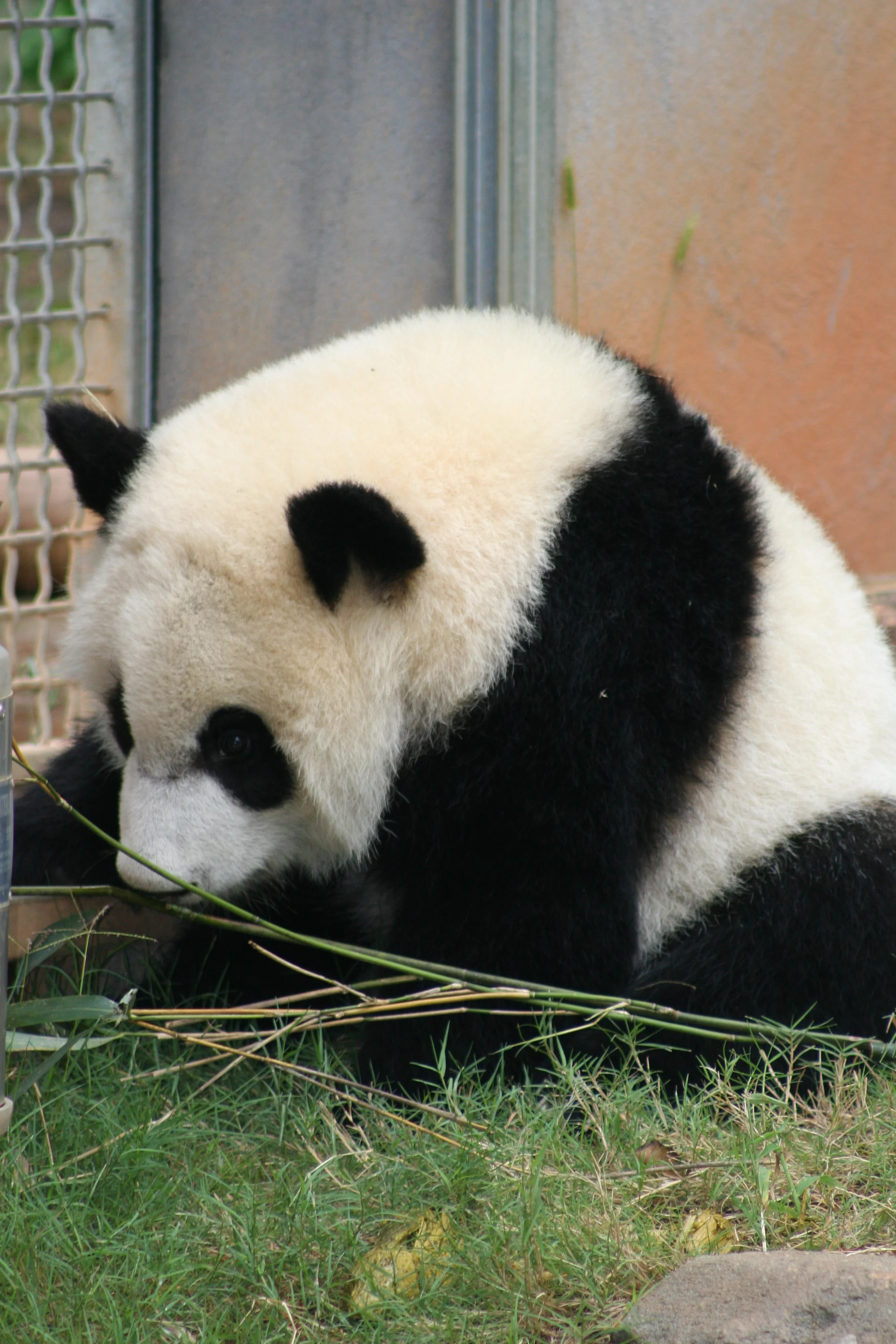 Zoo Atlanta