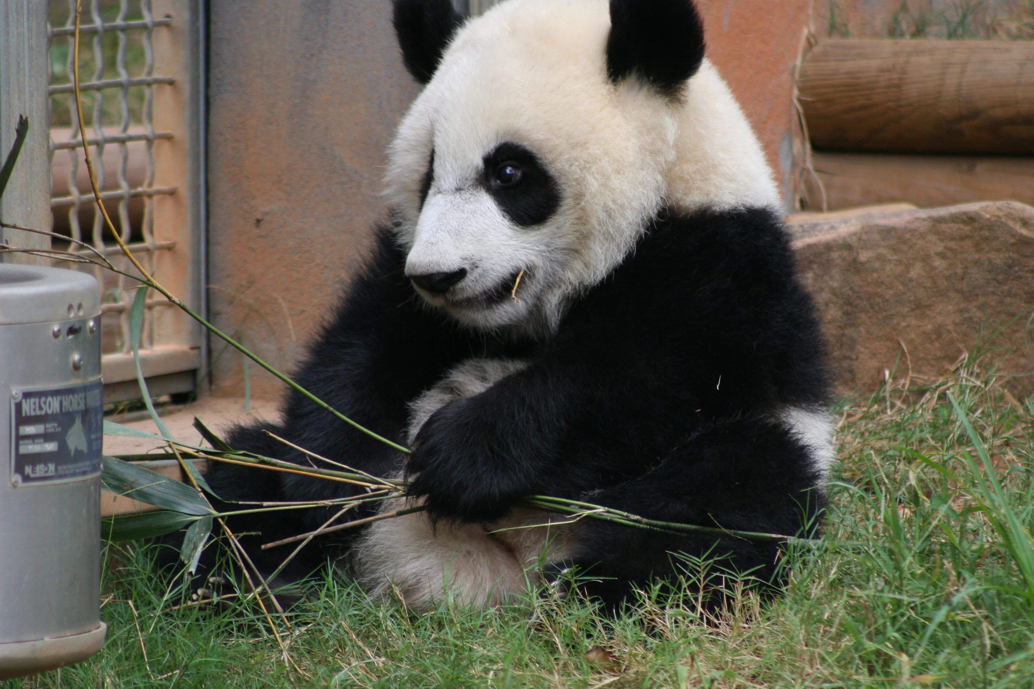 Zoo Atlanta