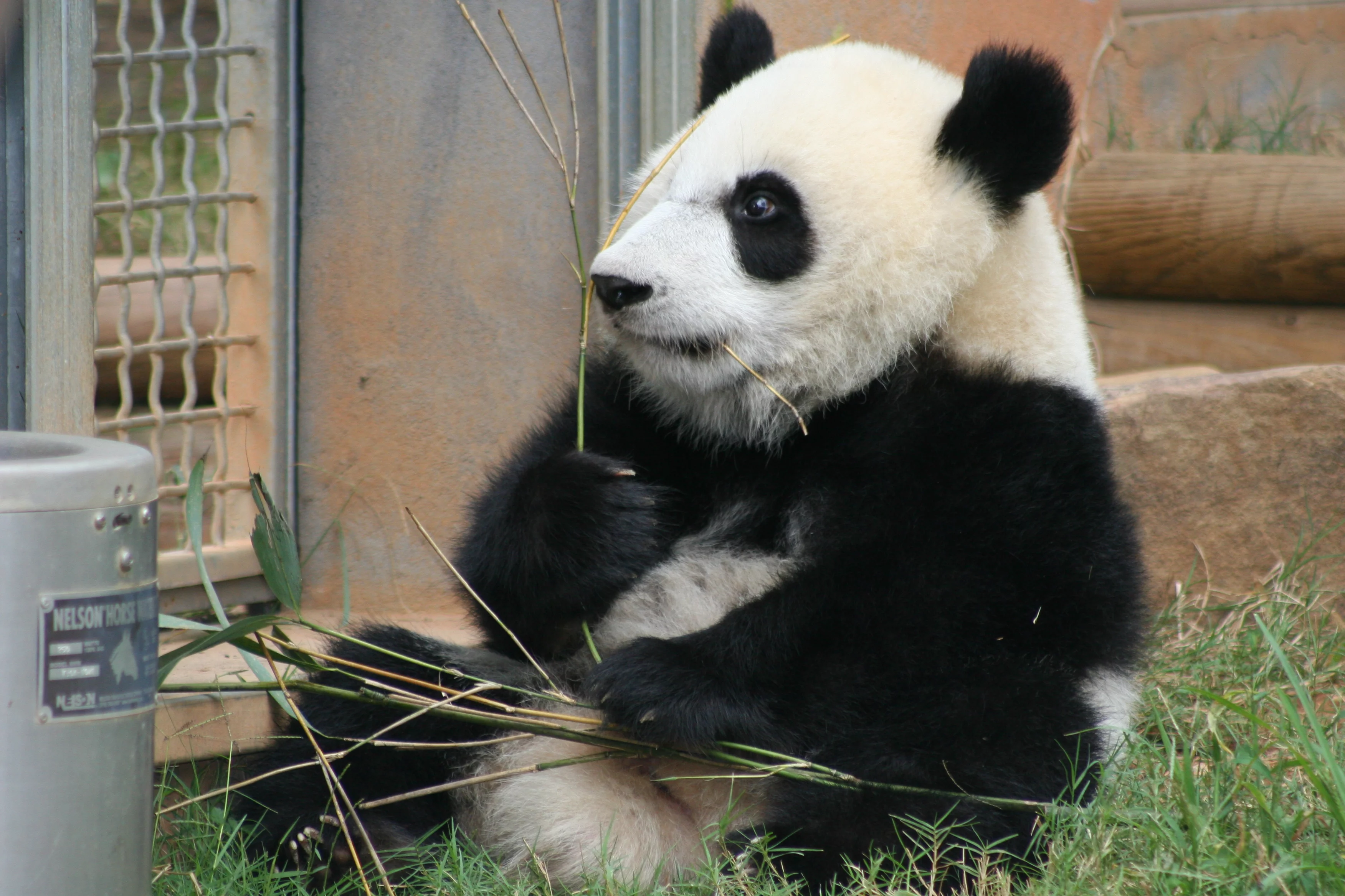 Zoo Atlanta