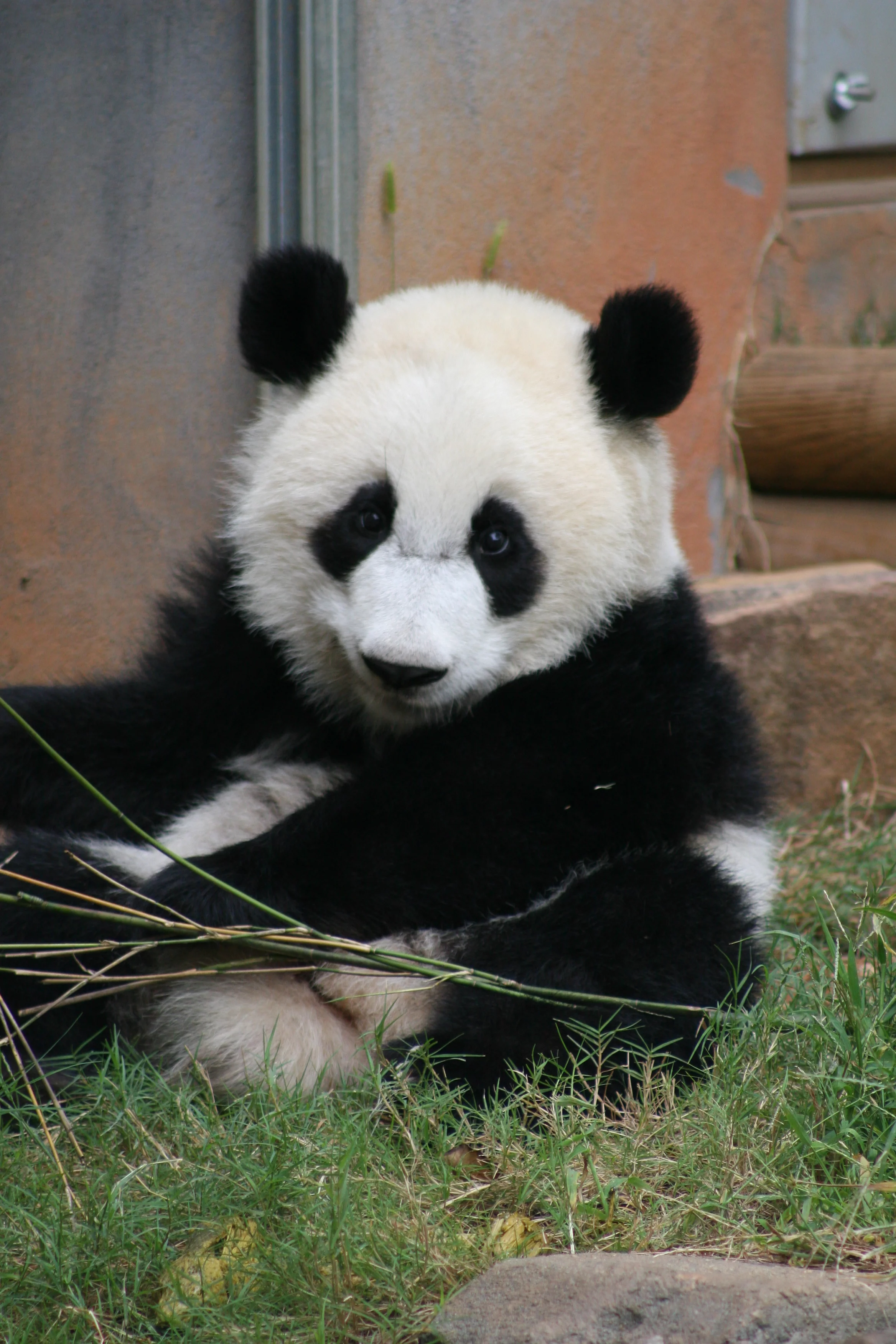 Zoo Atlanta