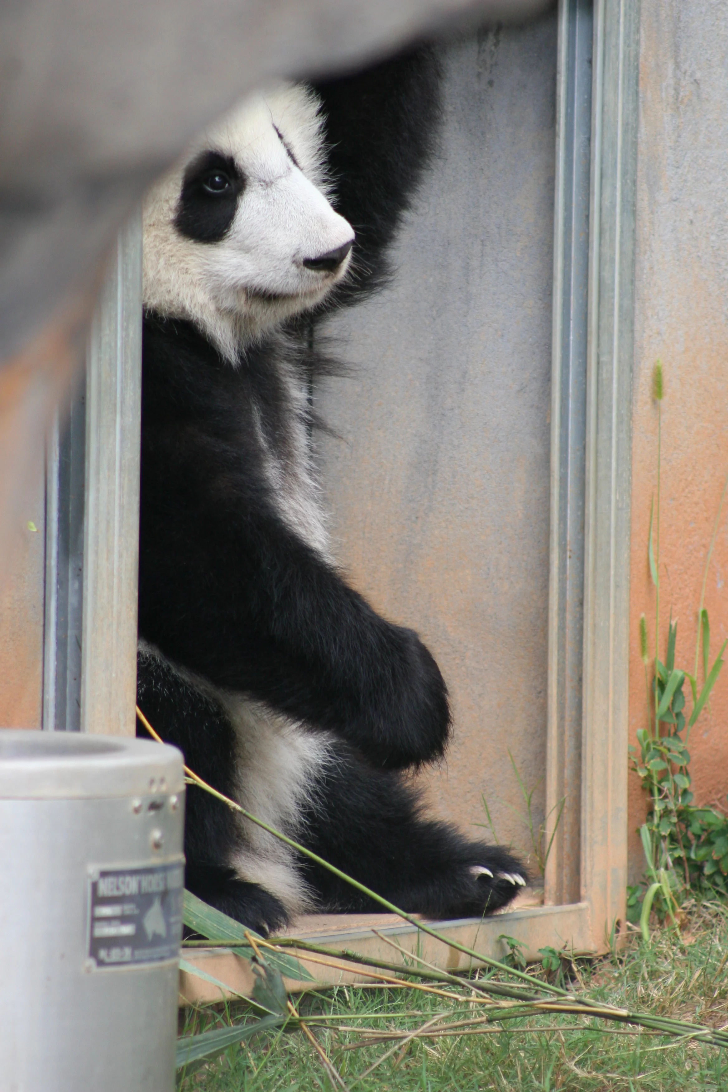 Zoo Atlanta