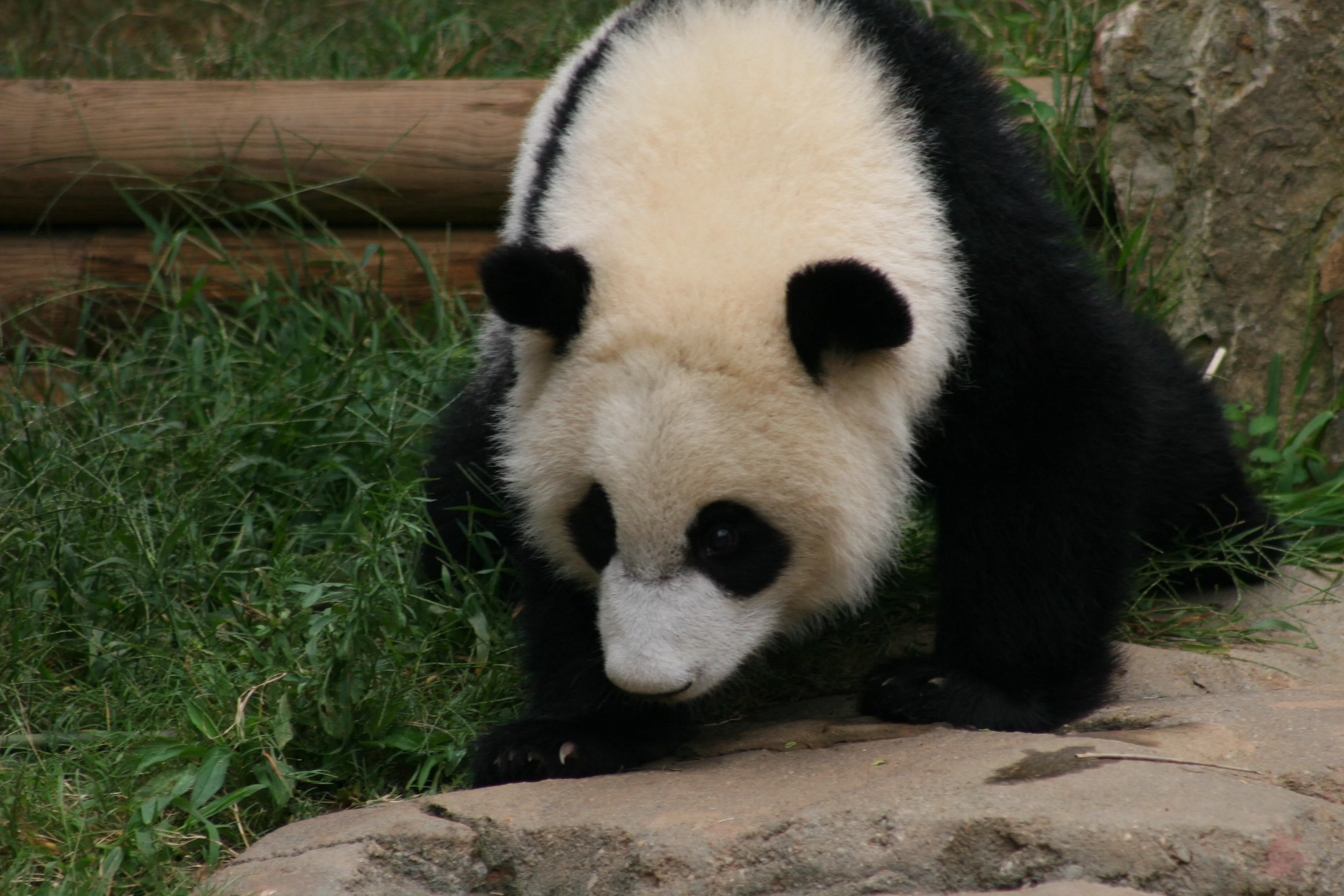Zoo Atlanta