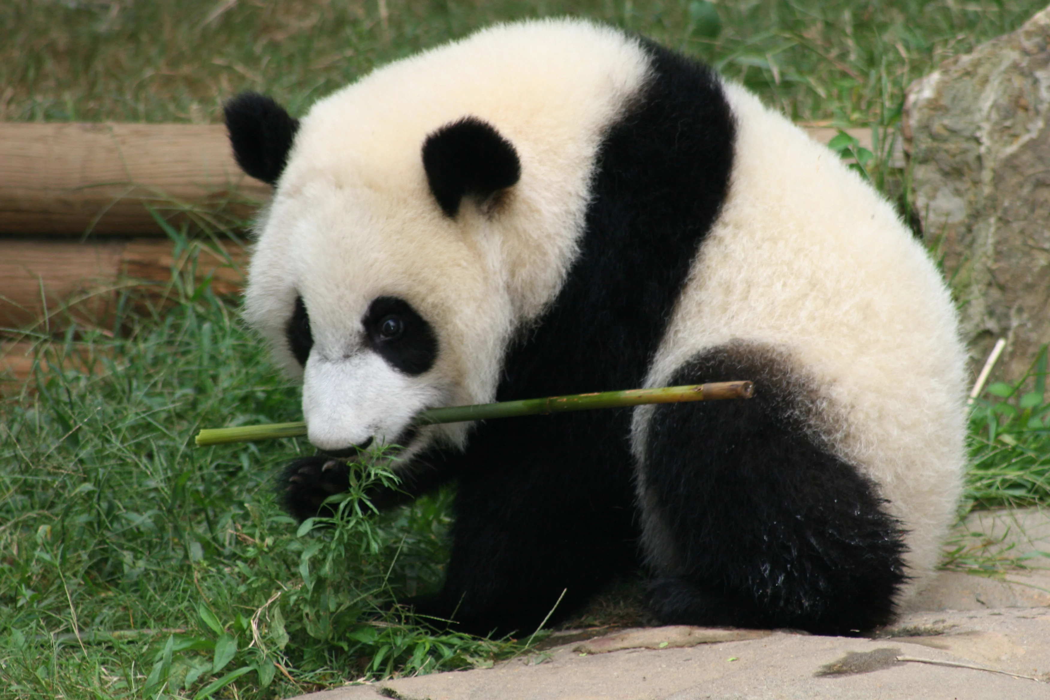Zoo Atlanta