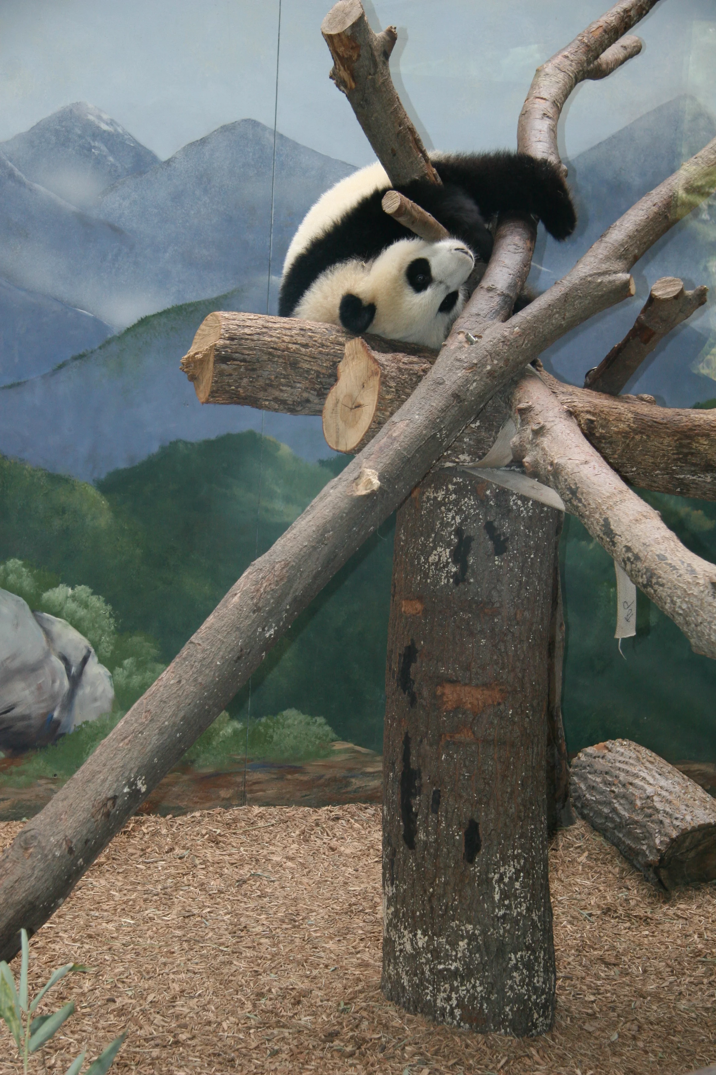 Zoo Atlanta