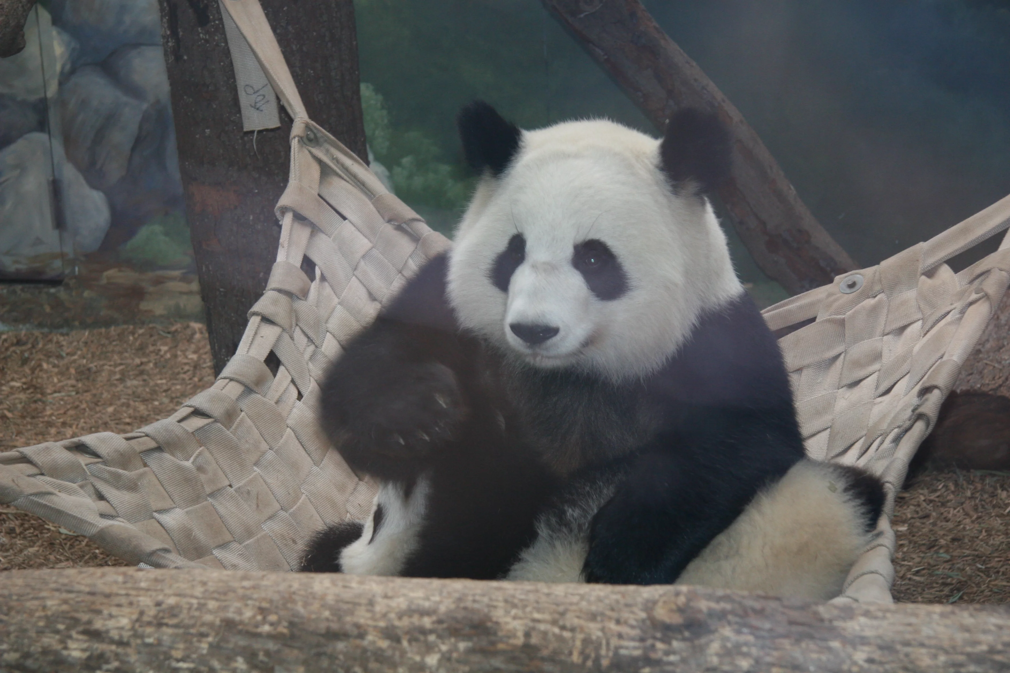 Zoo Atlanta