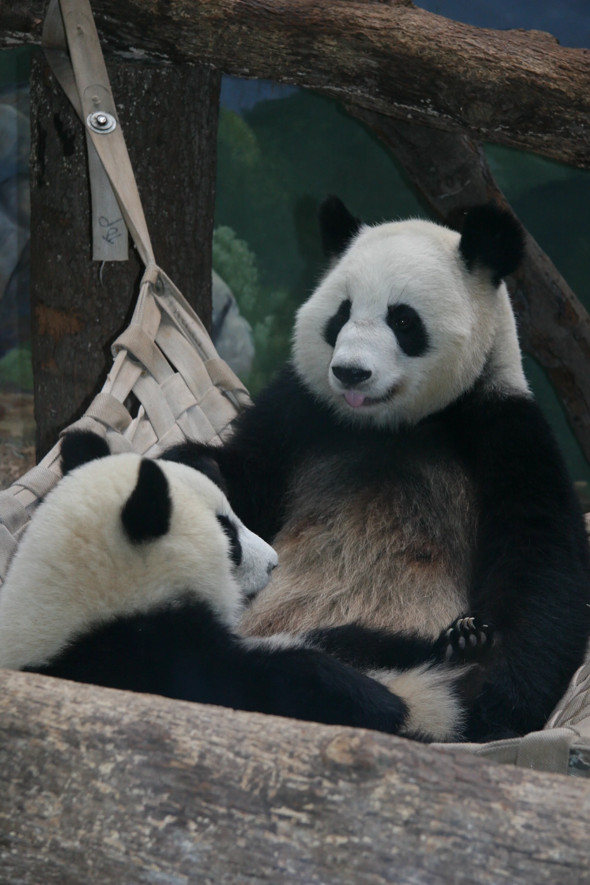 Zoo Atlanta