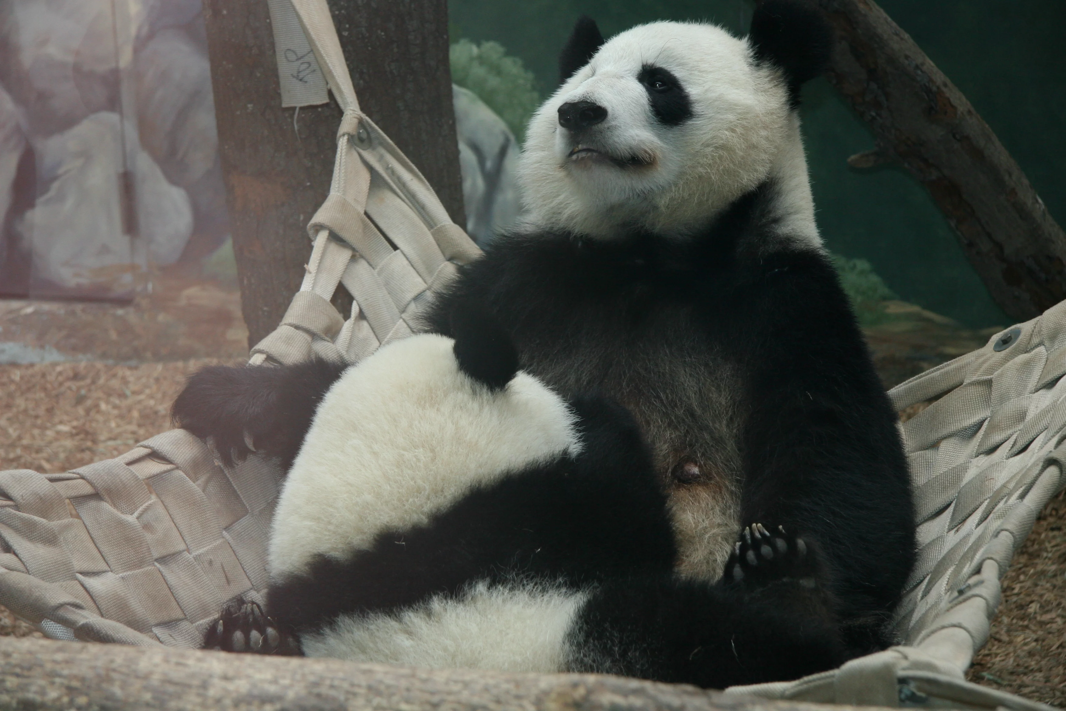 Zoo Atlanta