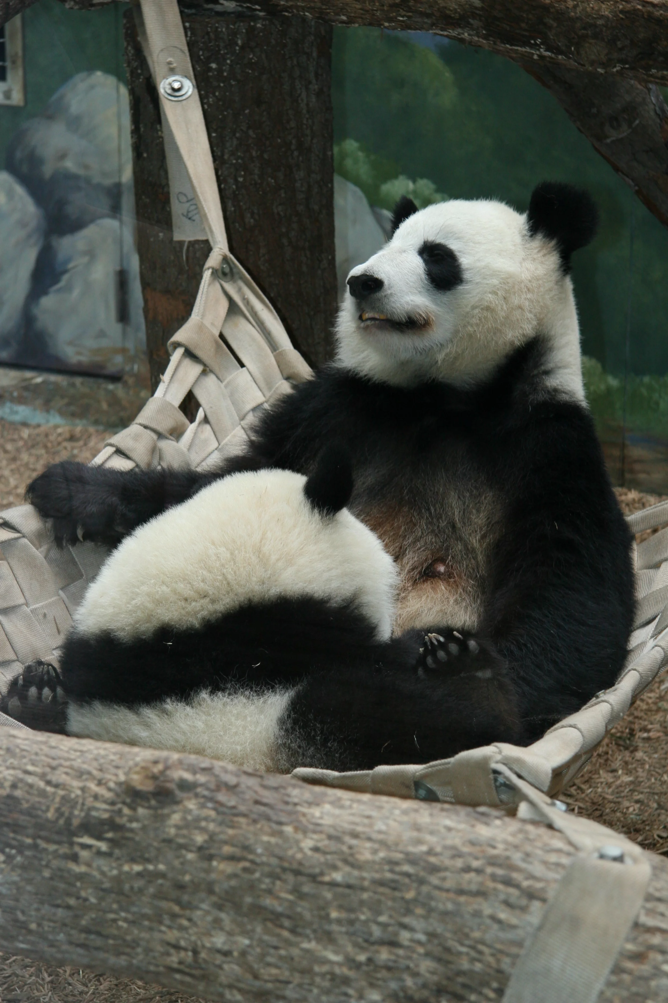 Zoo Atlanta