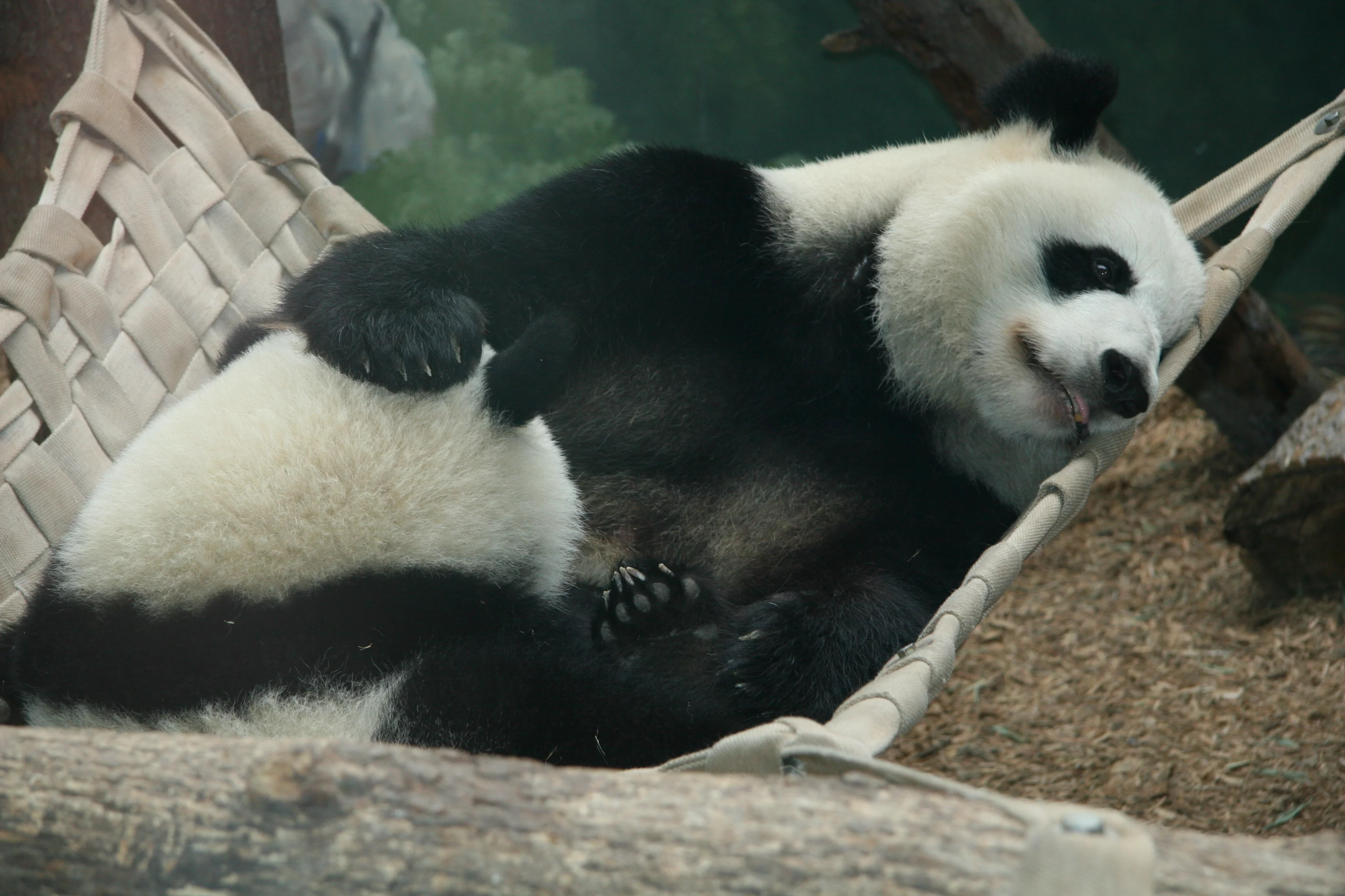 Zoo Atlanta