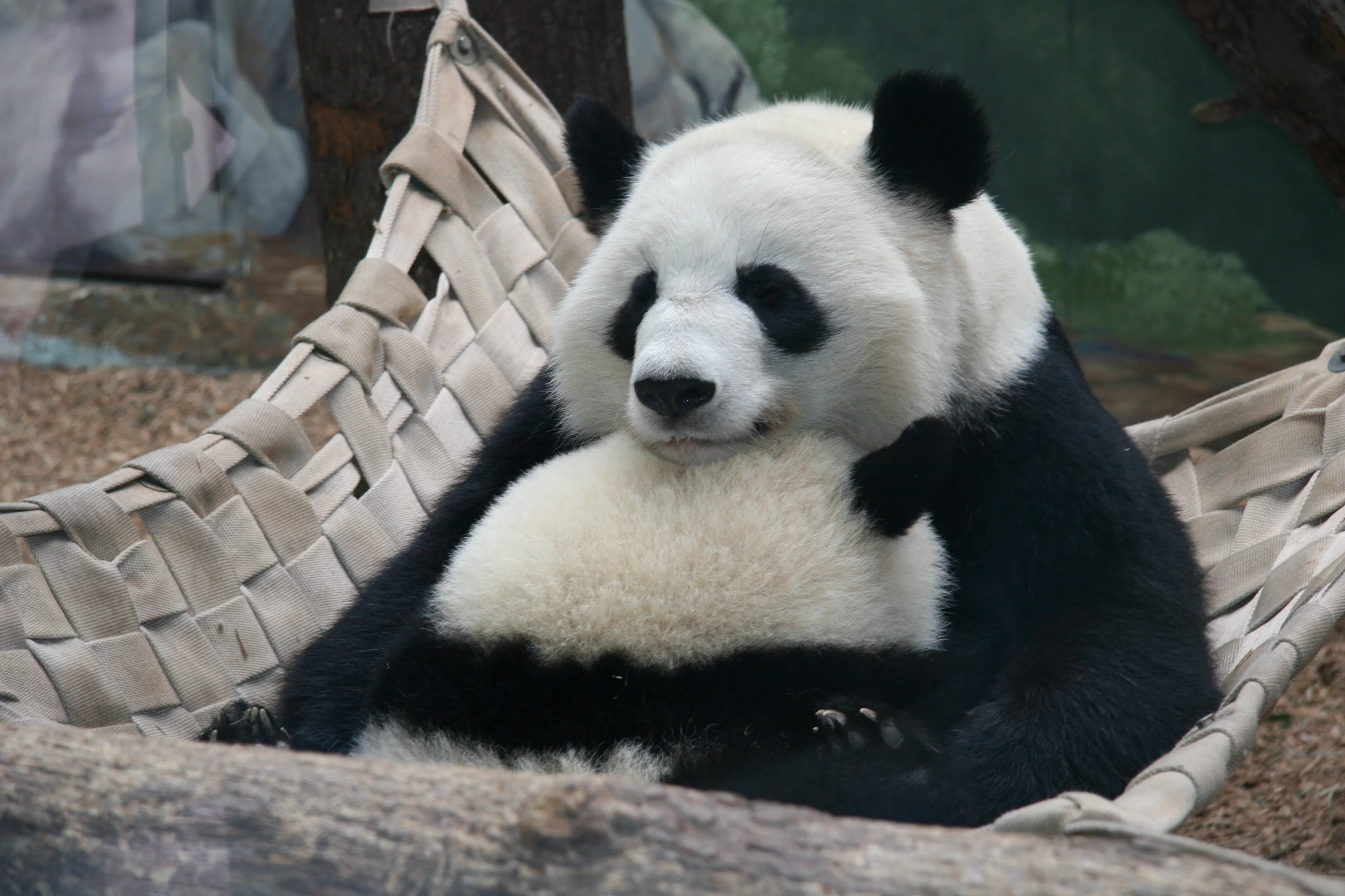 Zoo Atlanta